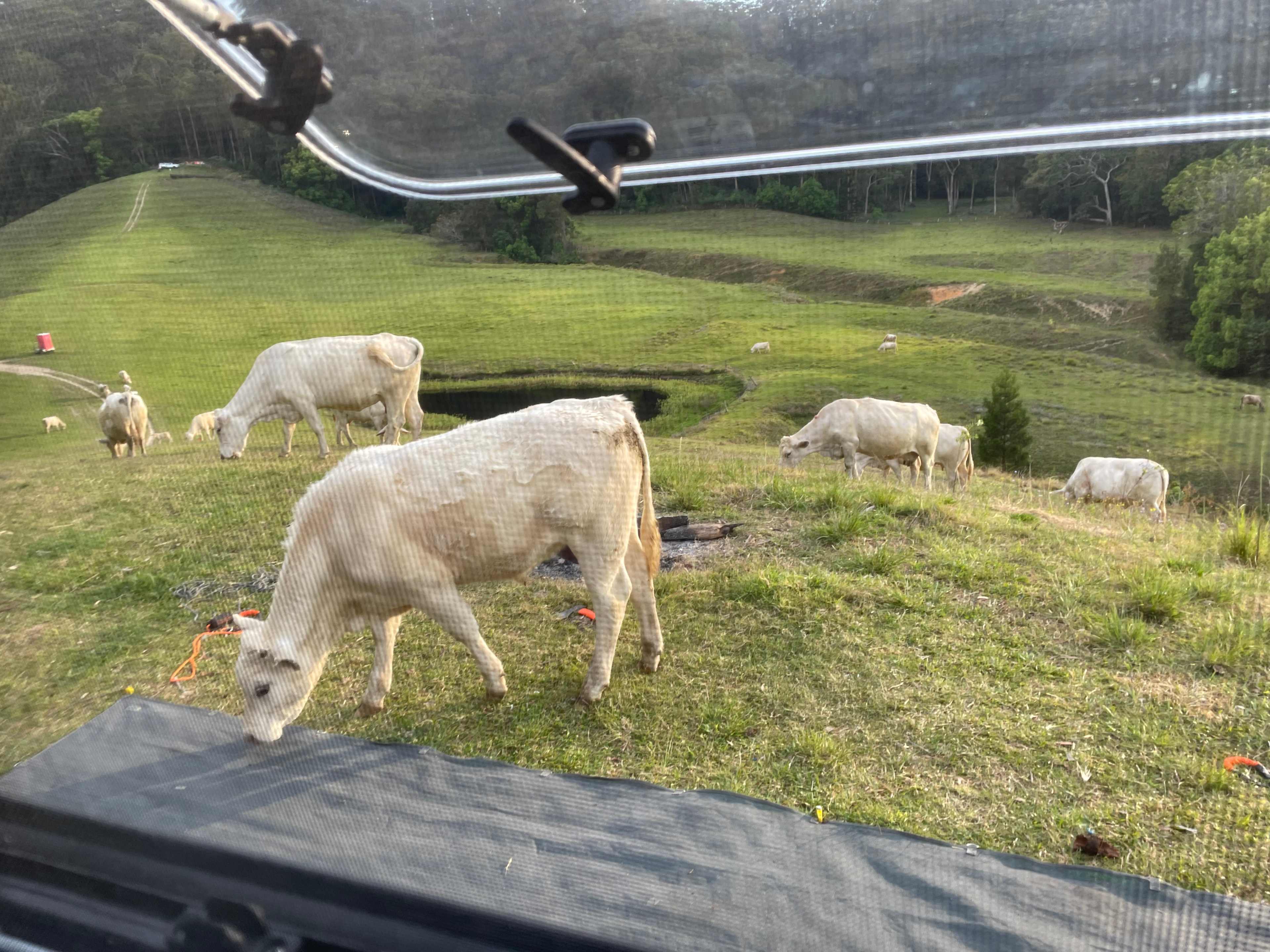 The Sleepy Hollow Manor Estate