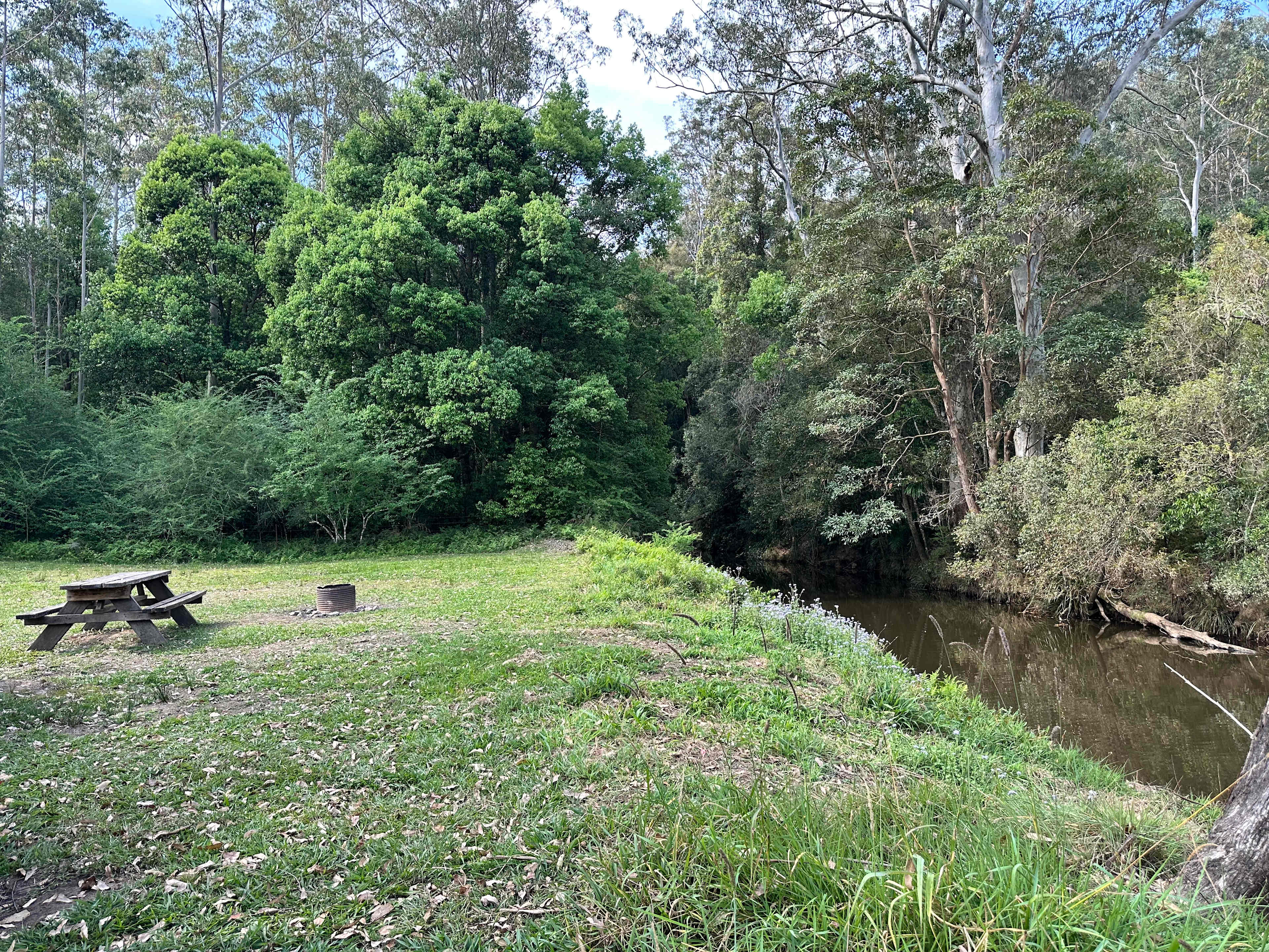 Levenvale Farm in Bellingen