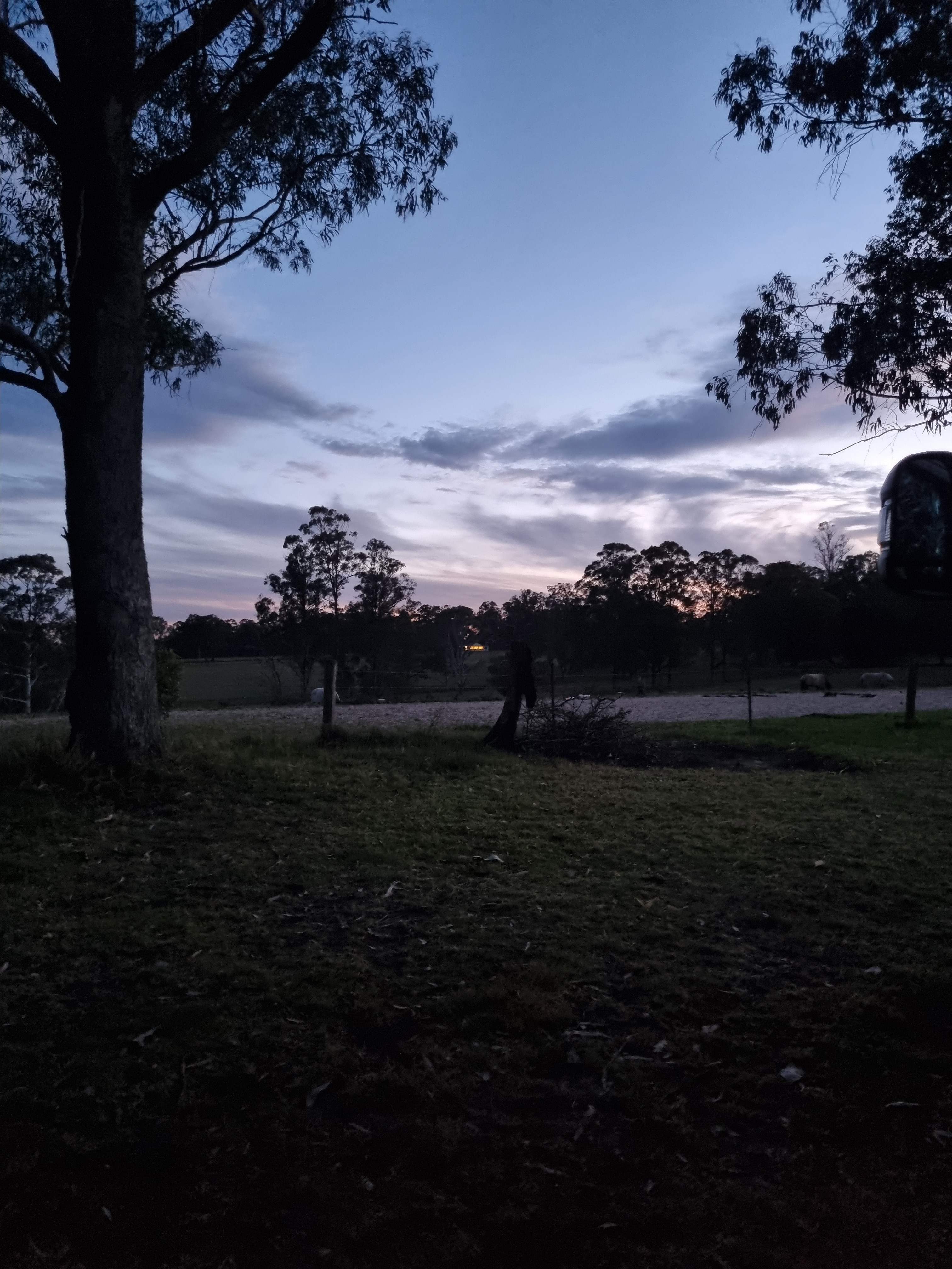 Melon Green at Oakdale