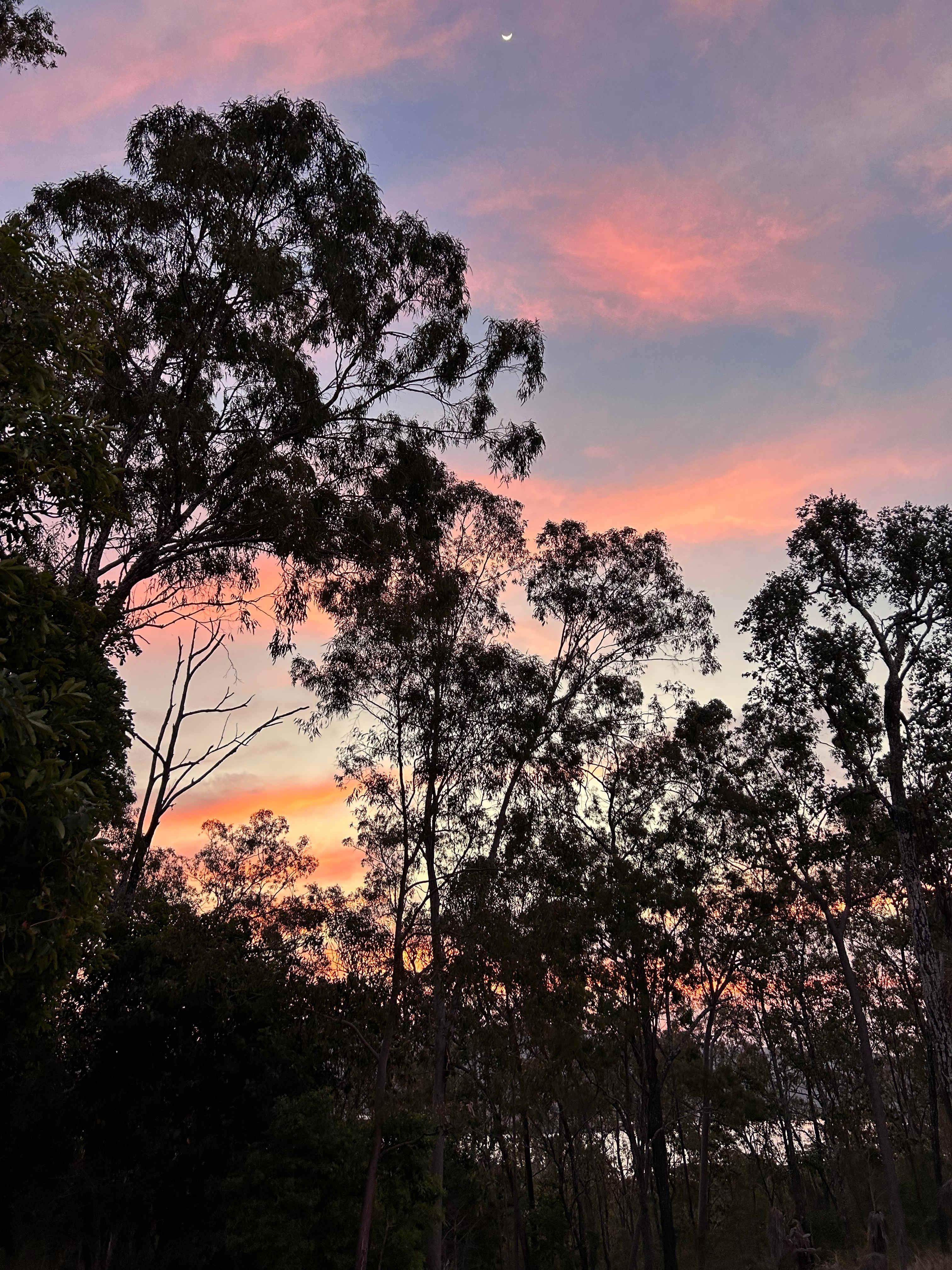 Somerset Dam Private Bush Camp
