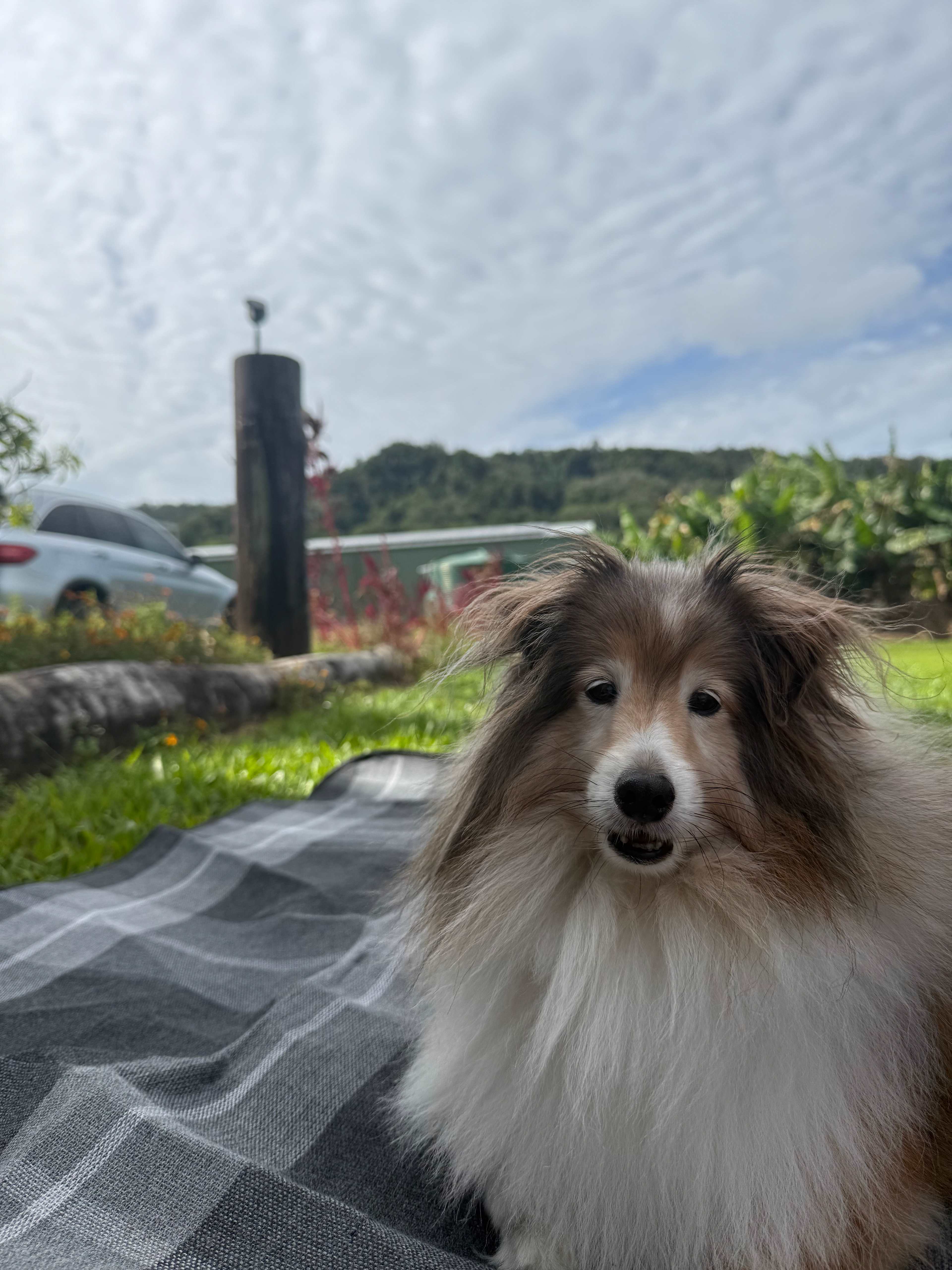 Kingston Road Farm Stay