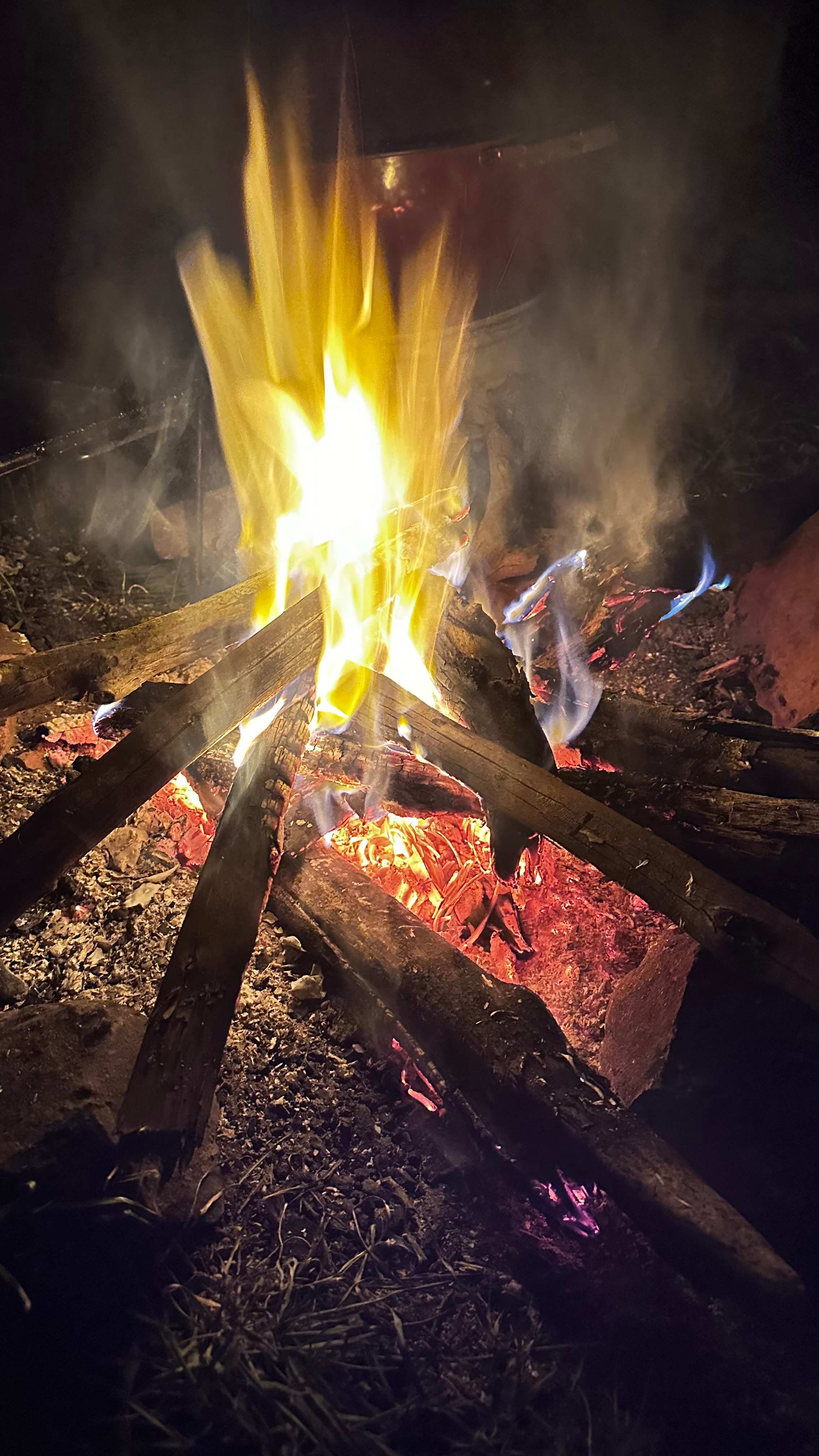 Willow Glen Alpaca Farm