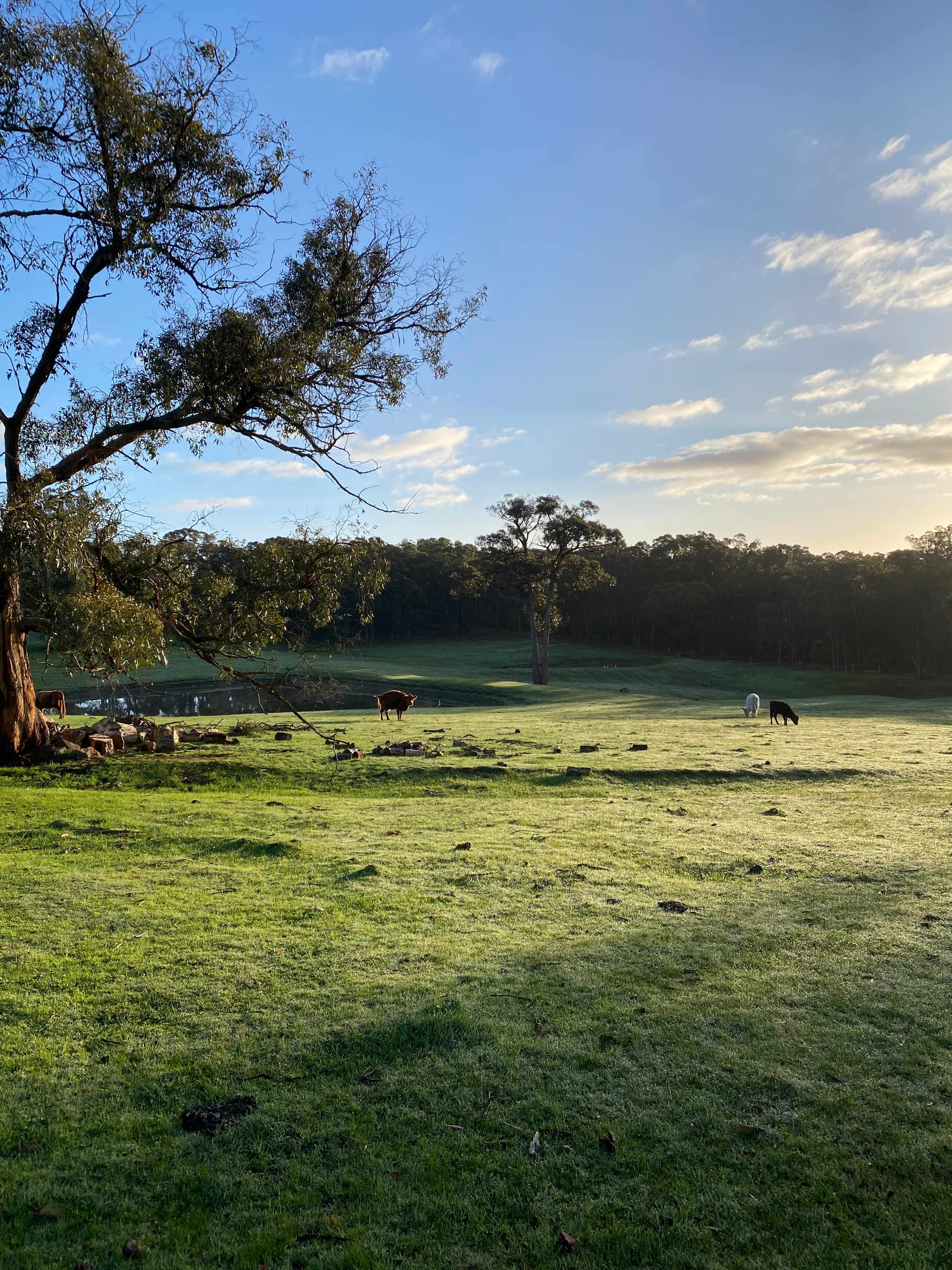 QD equestrian centre