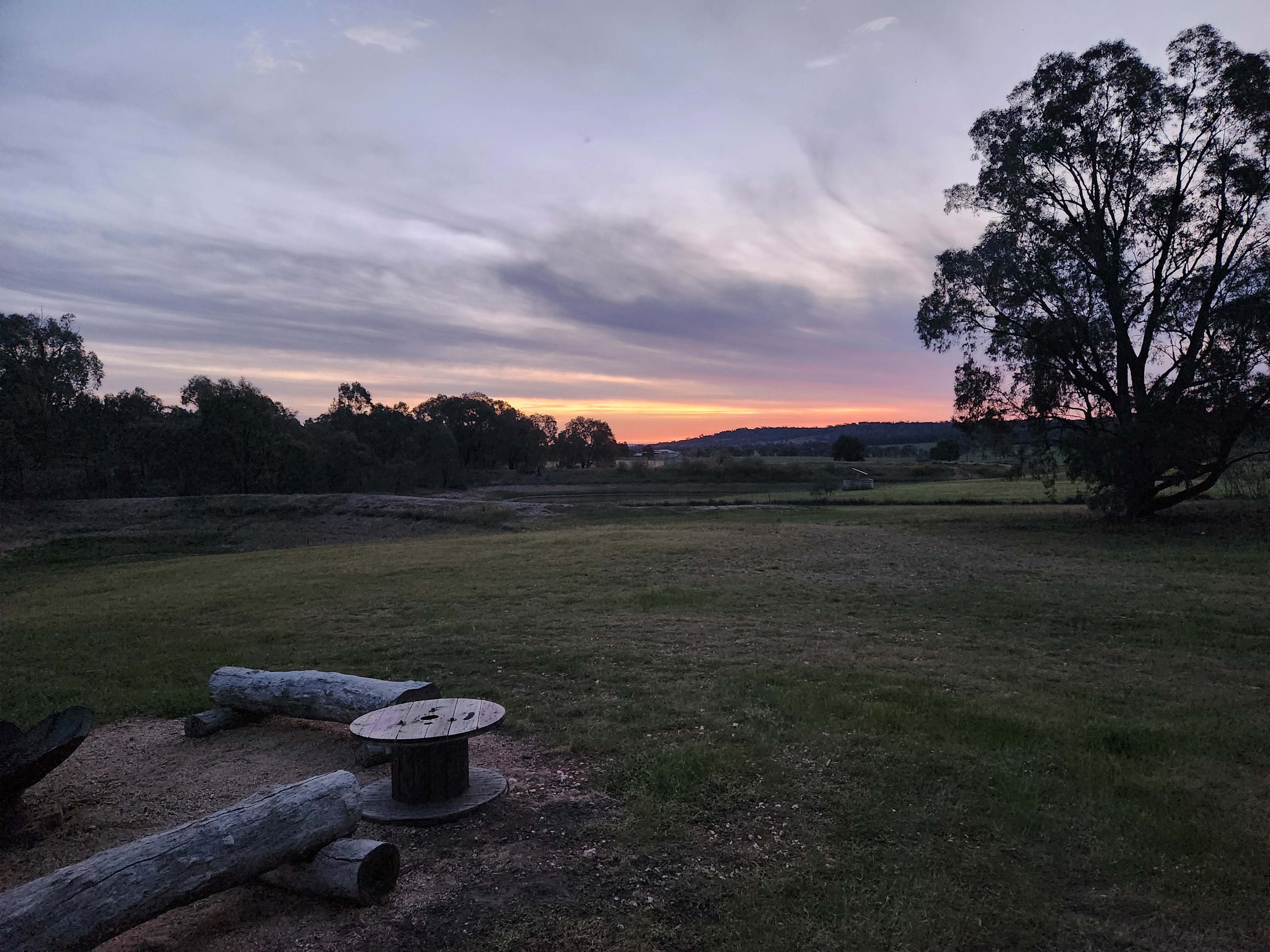 Serendipity - a fortunate discovery