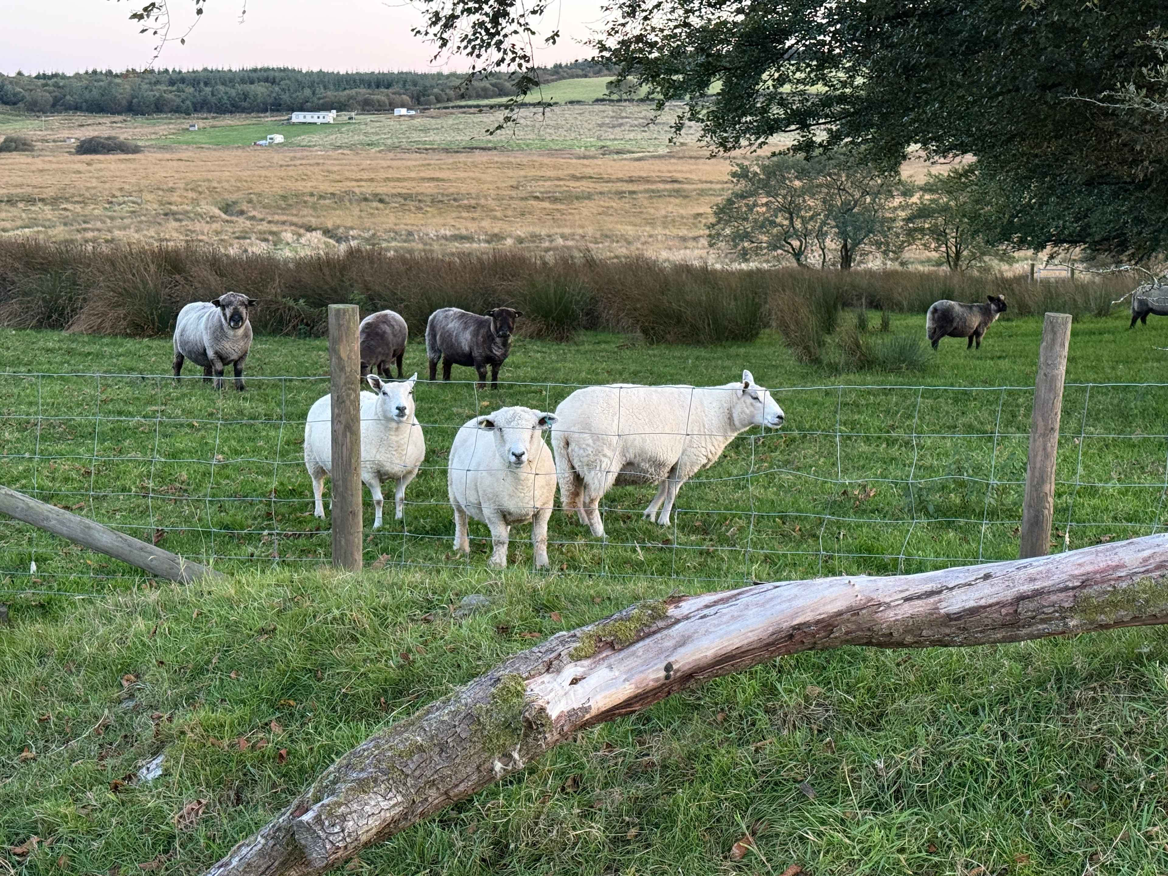 Ffynnonwen Farm Wild Camping