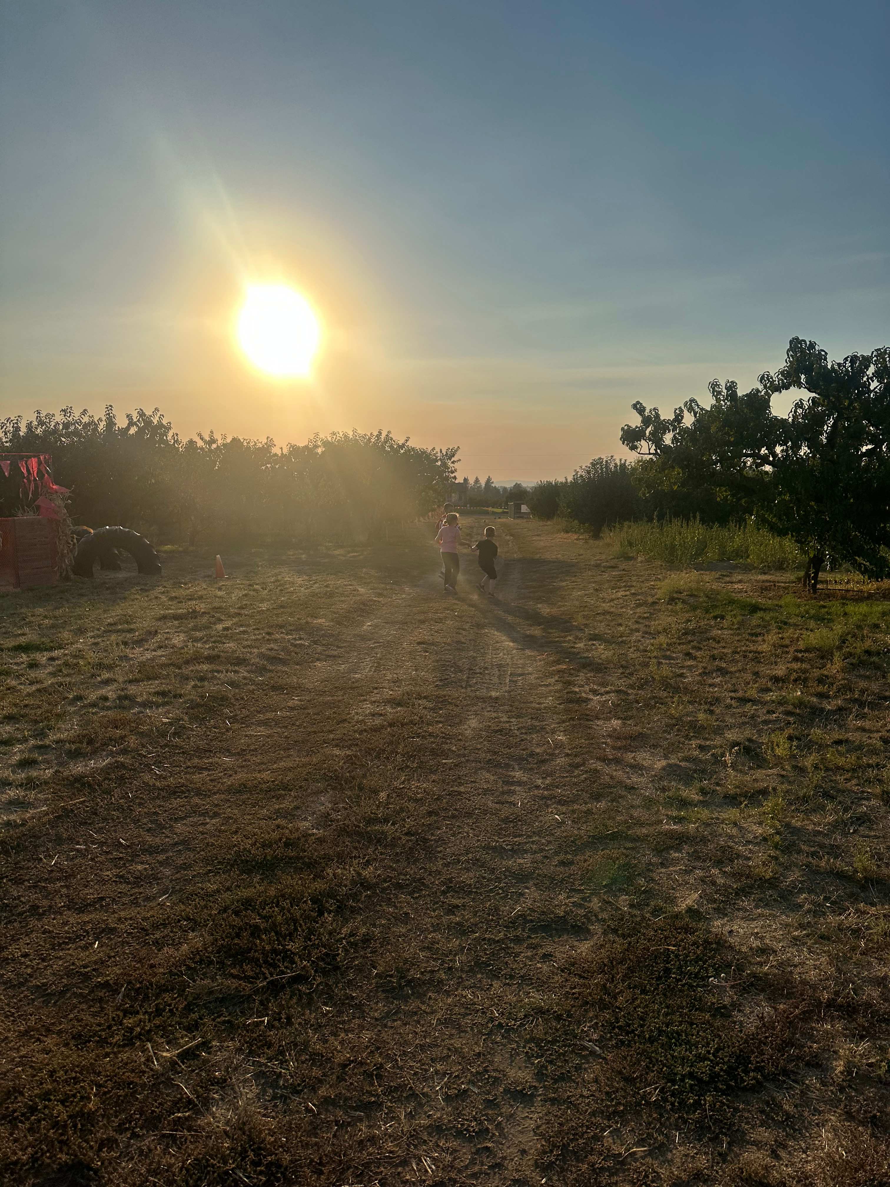 Hidden Acres Orchards