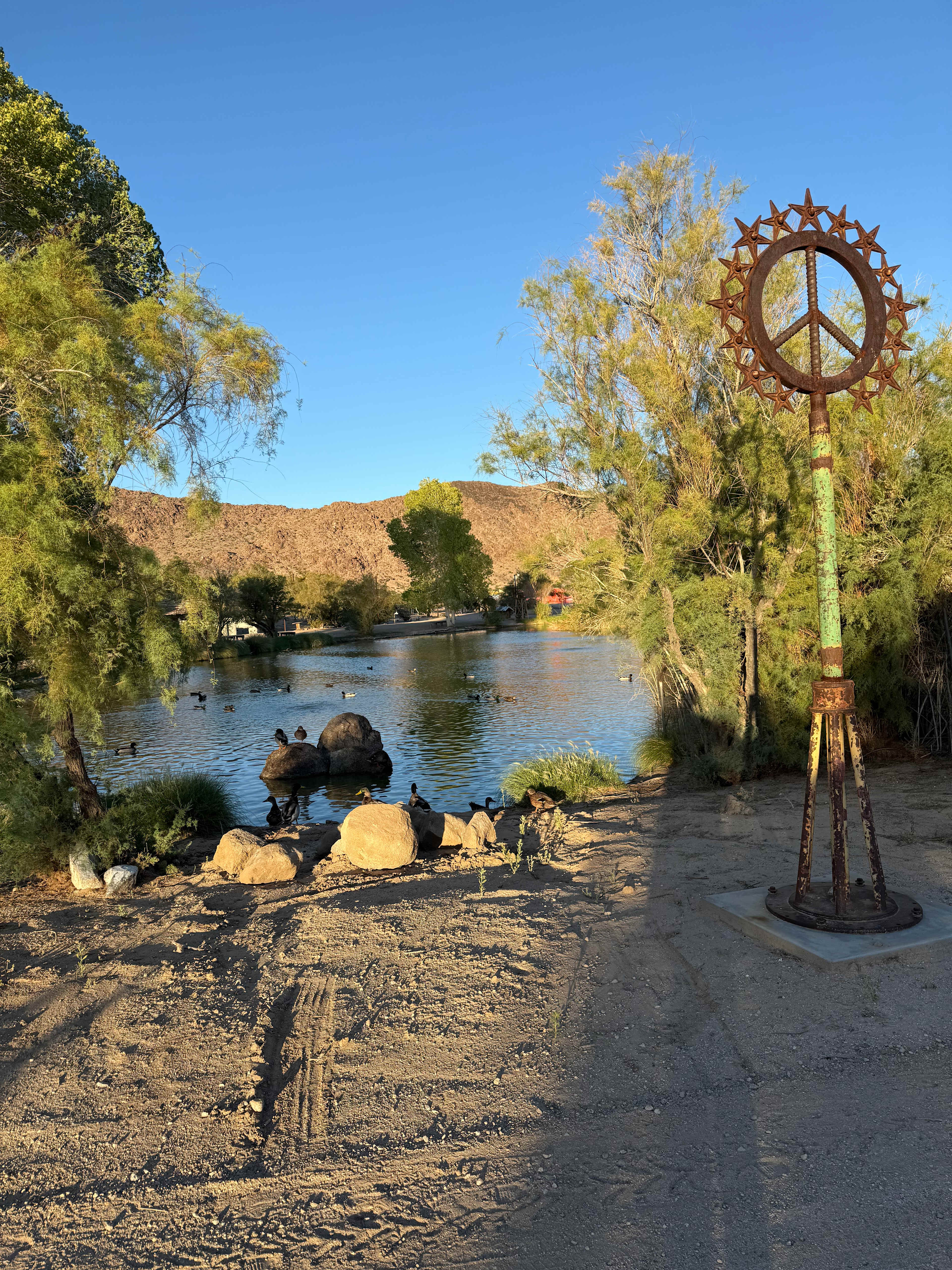 Joshua Tree Lake RV & Campground