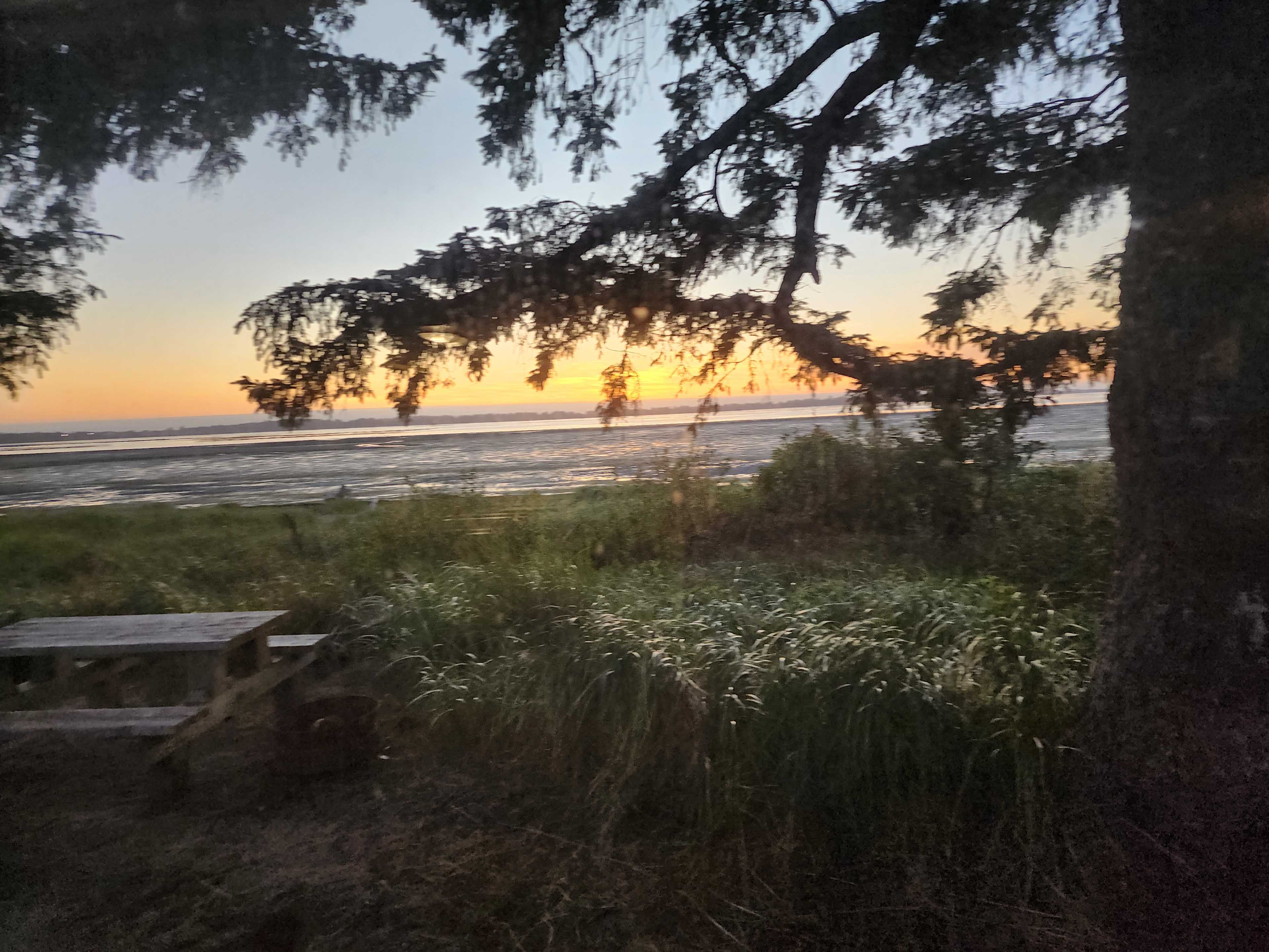 View from our trailer, site #4