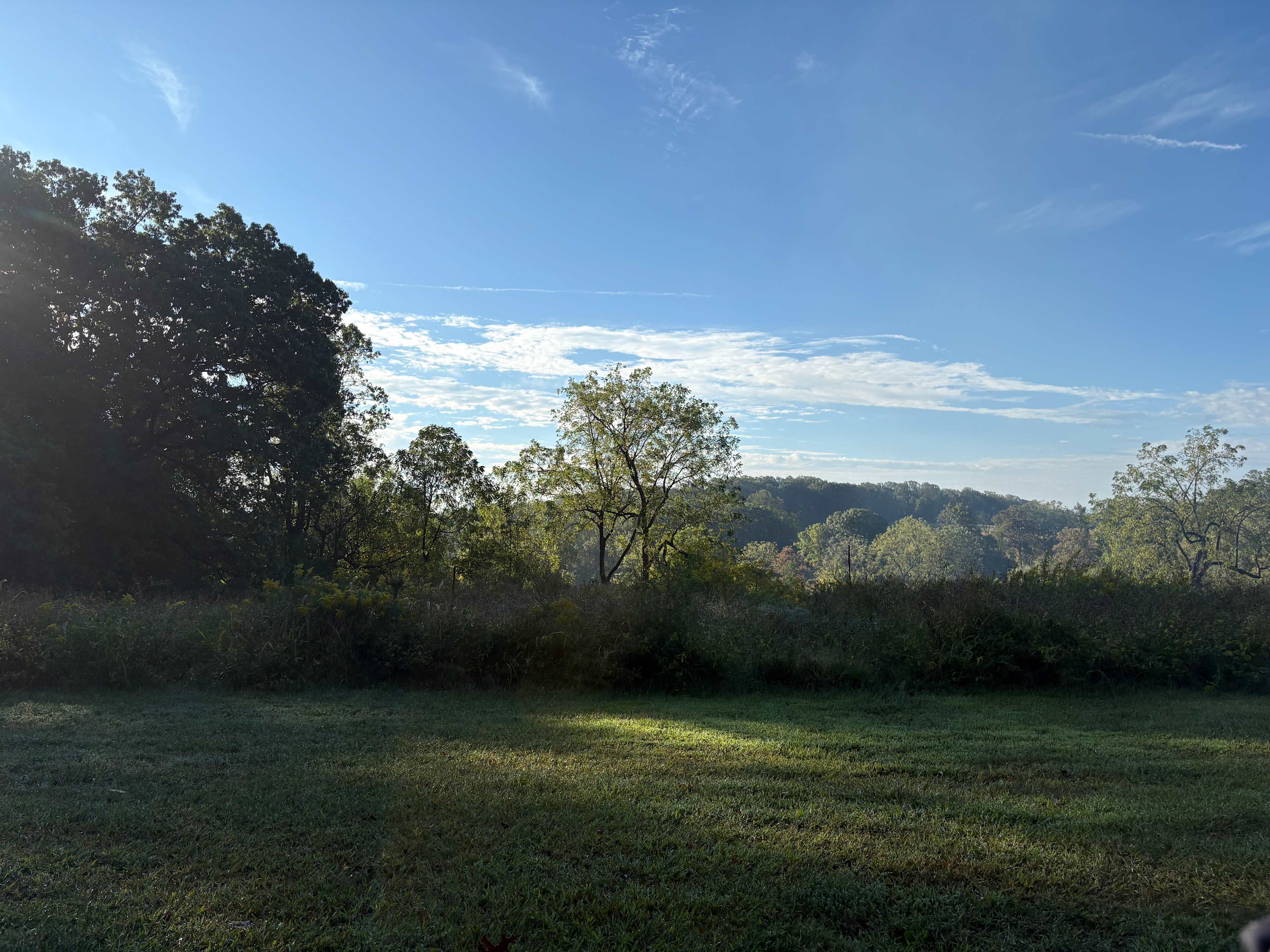 Peaceful.    Site was super level