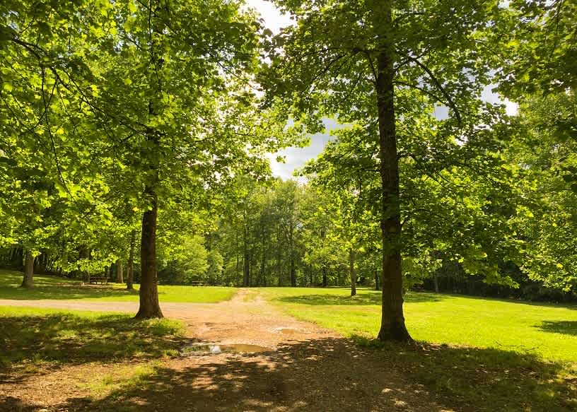 Outdoor Adventure Rafting