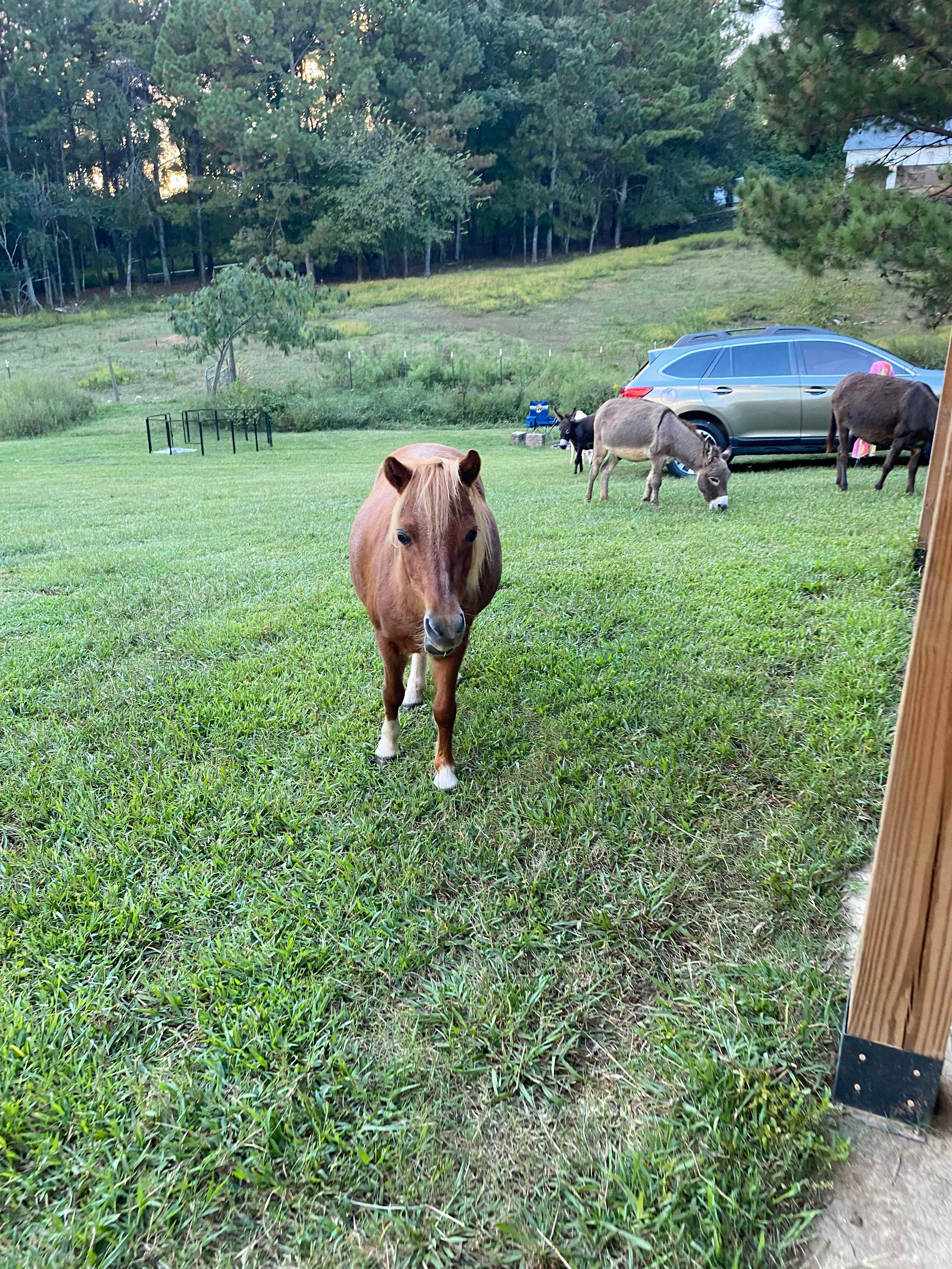 Magnolia Campground at Hixson Farms