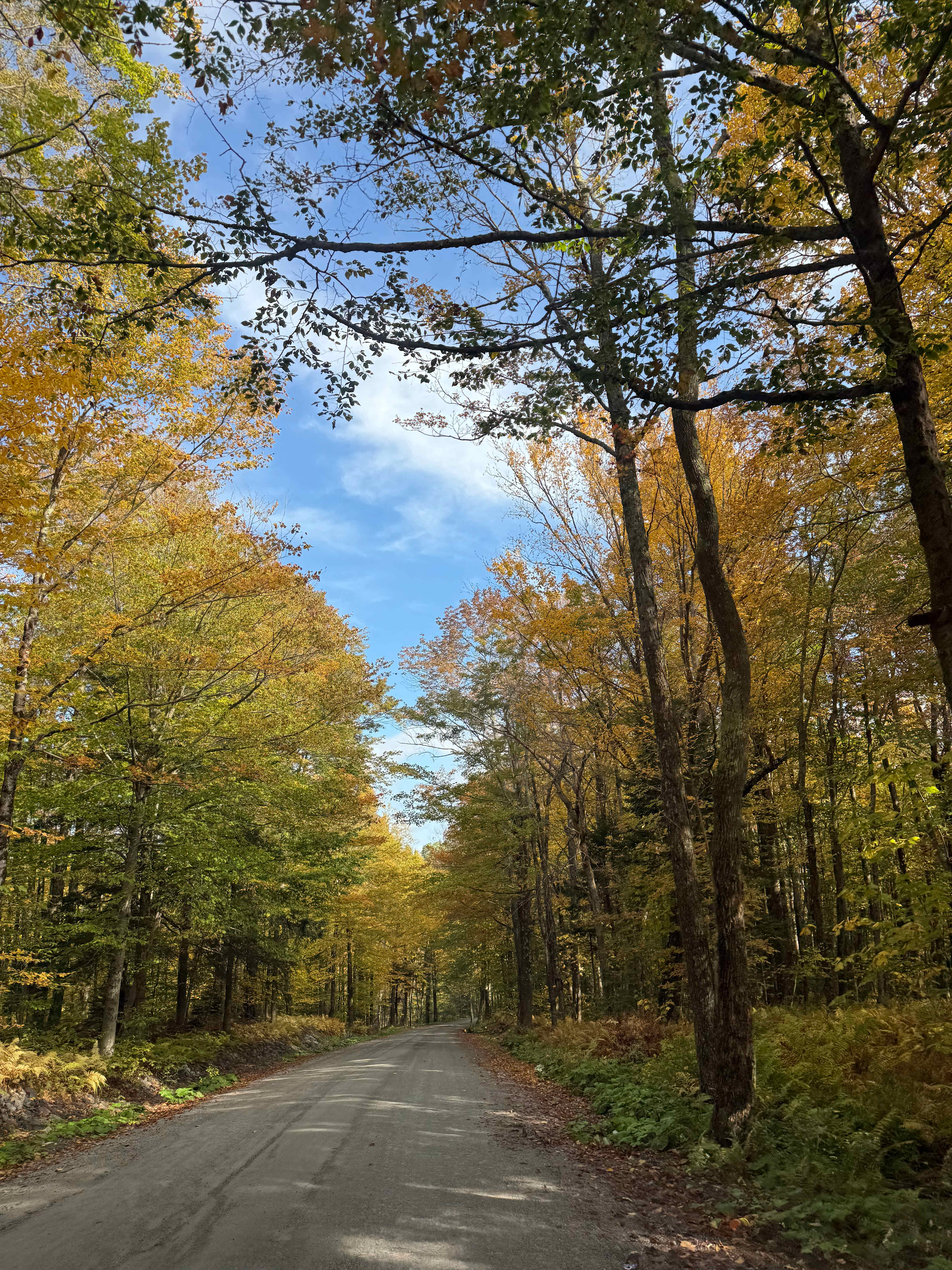 Grateful Acres Vermont