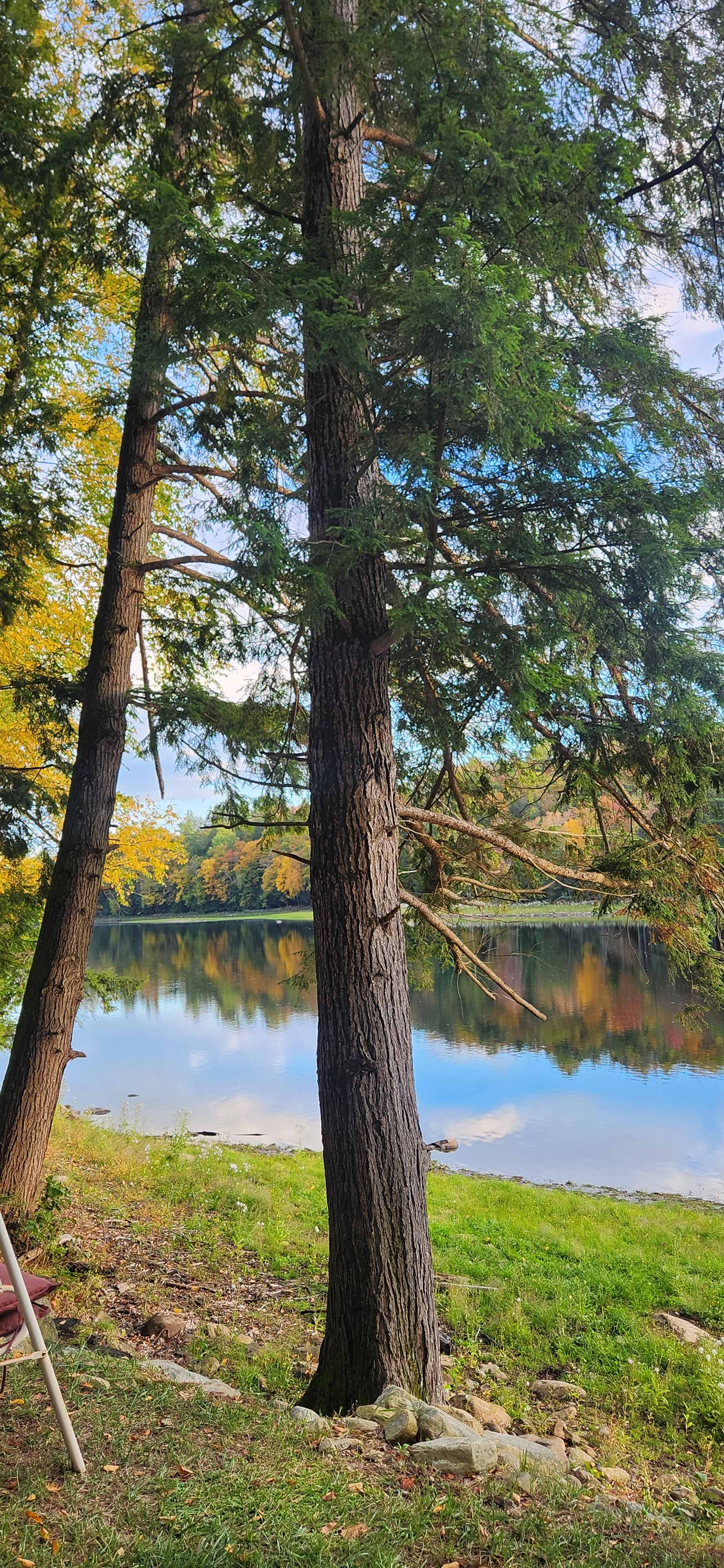 Riverfront Ritz Campsite