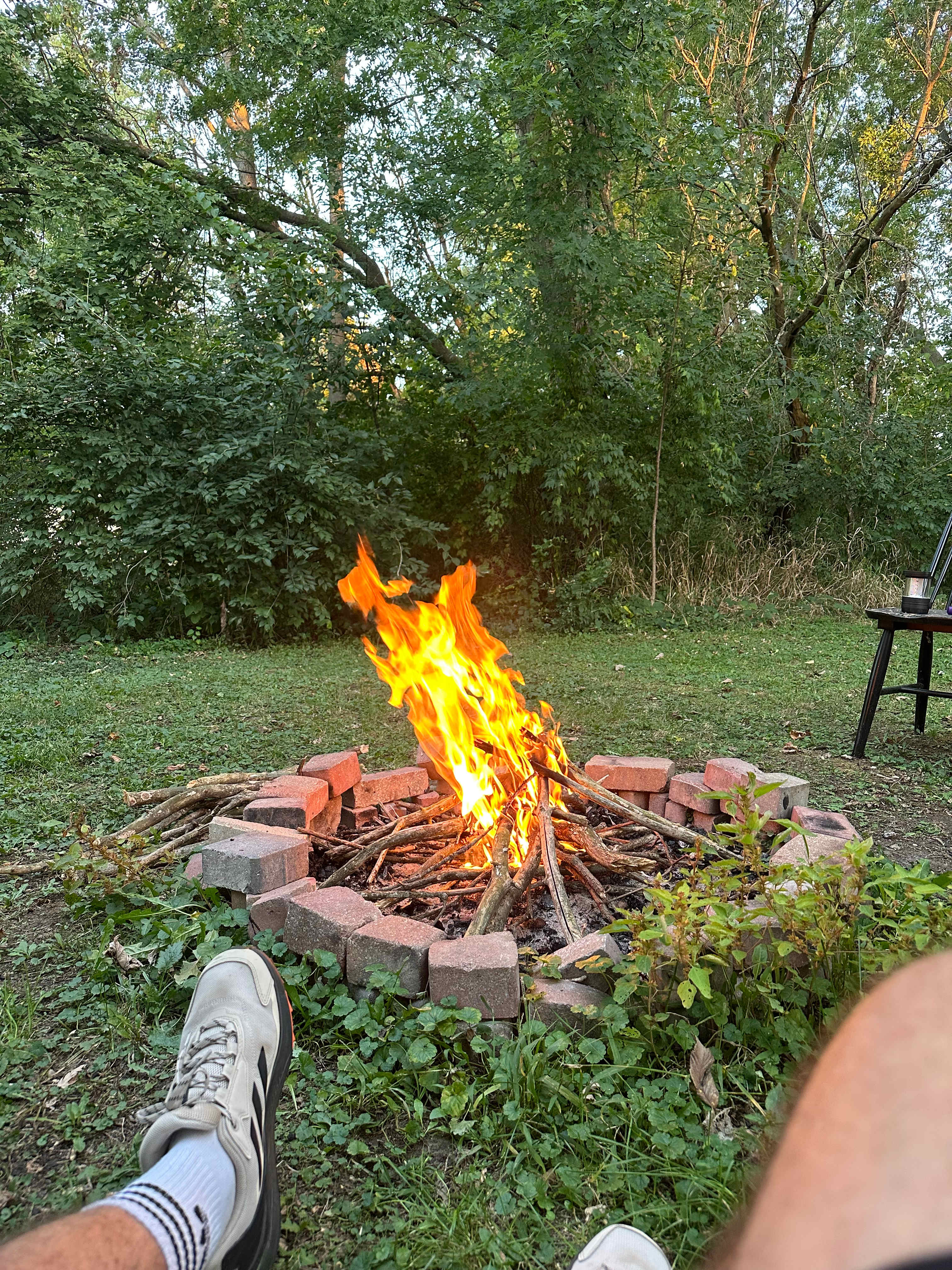 Daisy’s Farms On Notalotta Acers