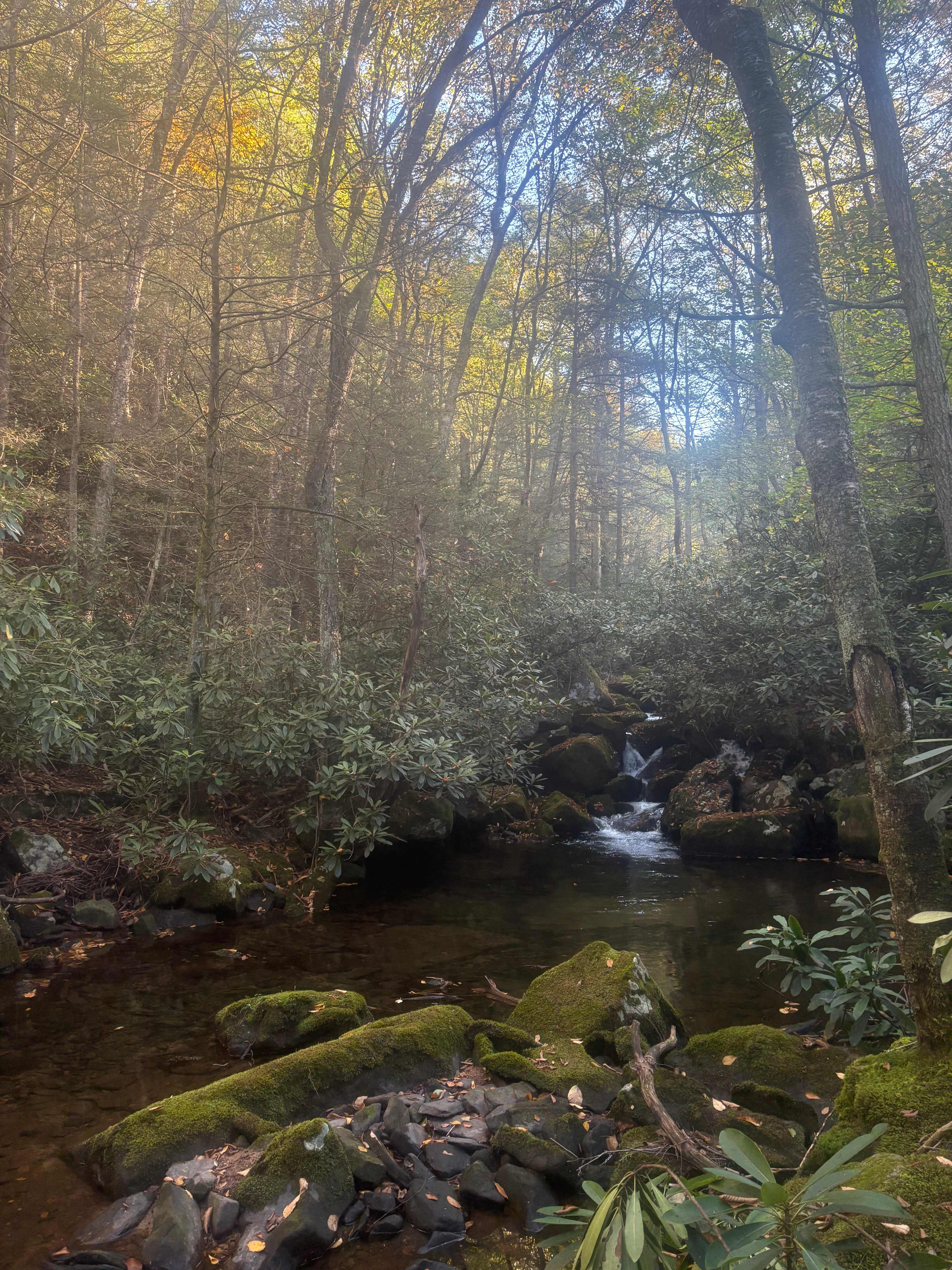 Camp Dietrich on Bear Creek