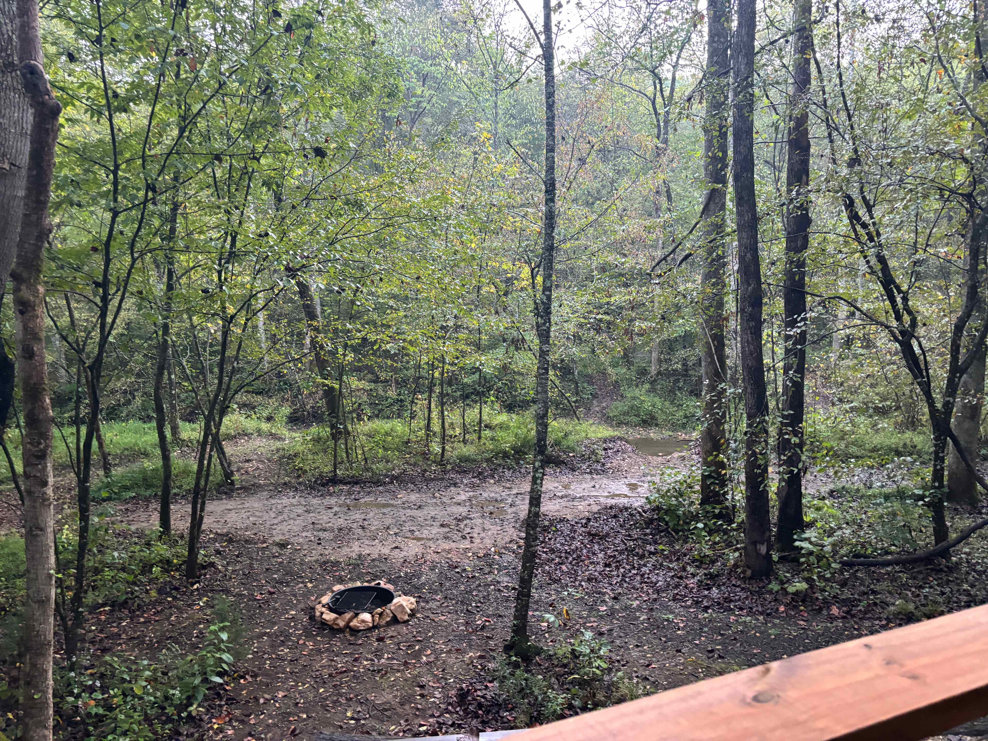 TangleWood Creekside Campsites