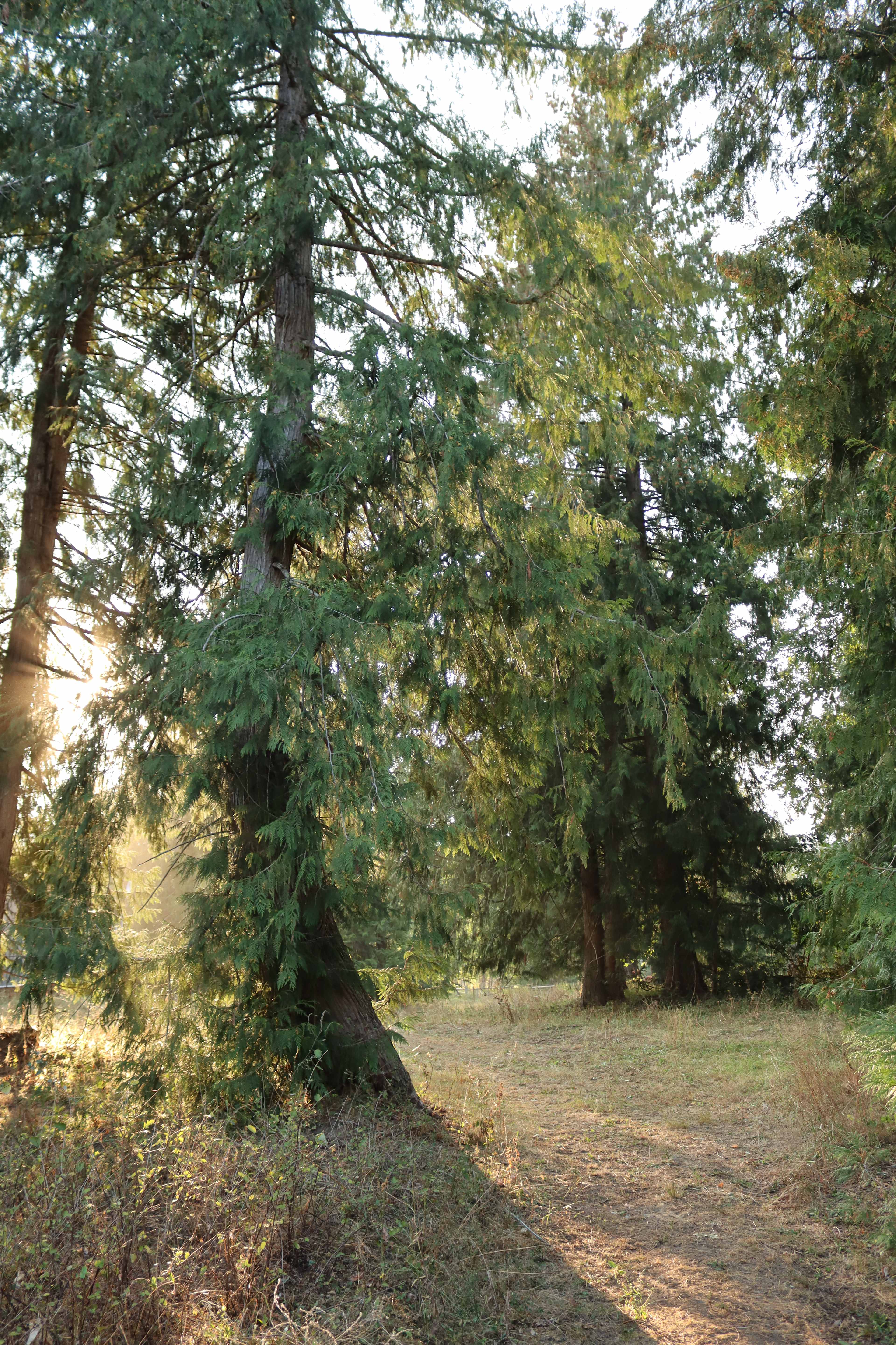Olich Creek Farm
