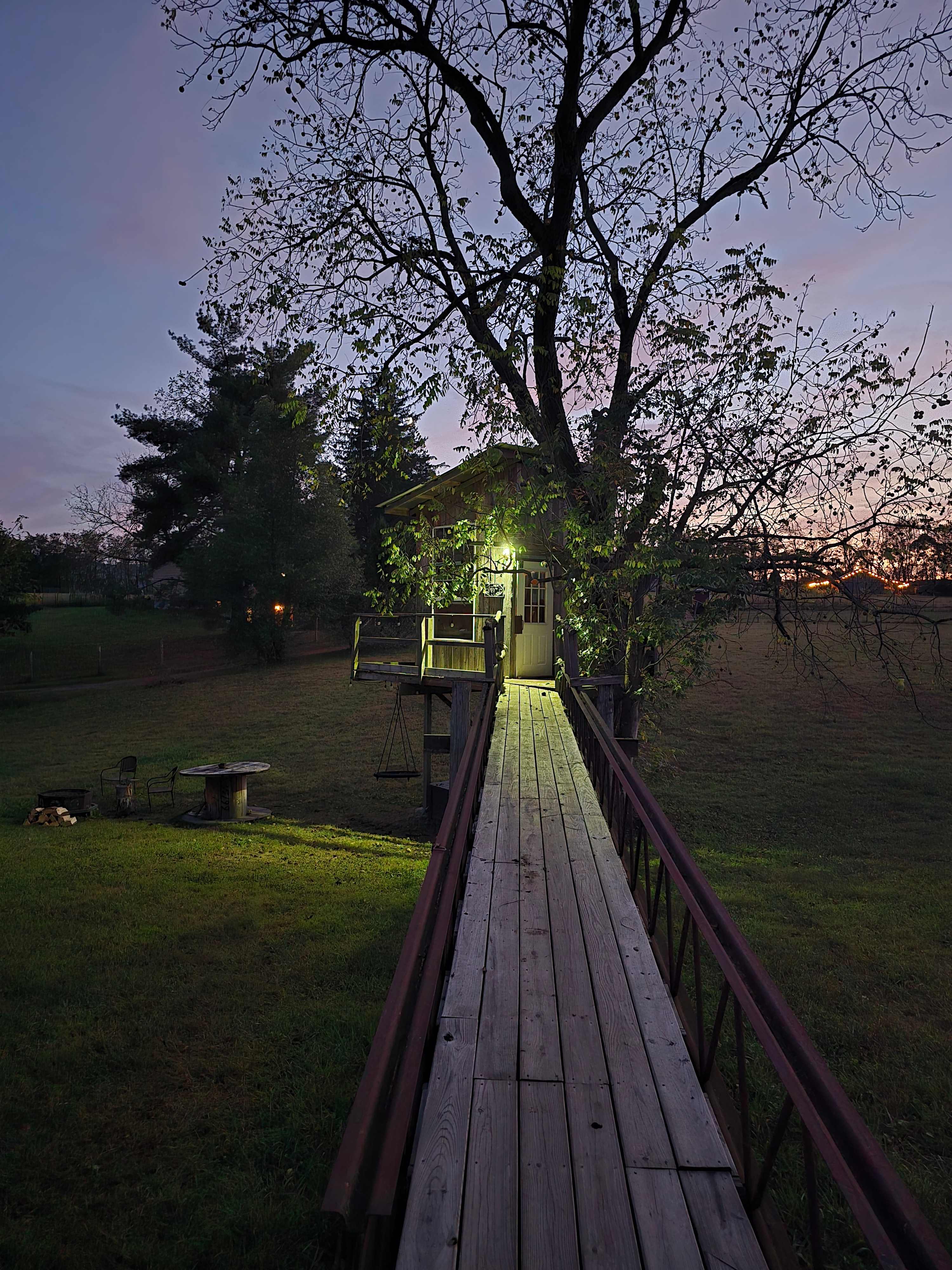 First view of tree house September 26, 2025