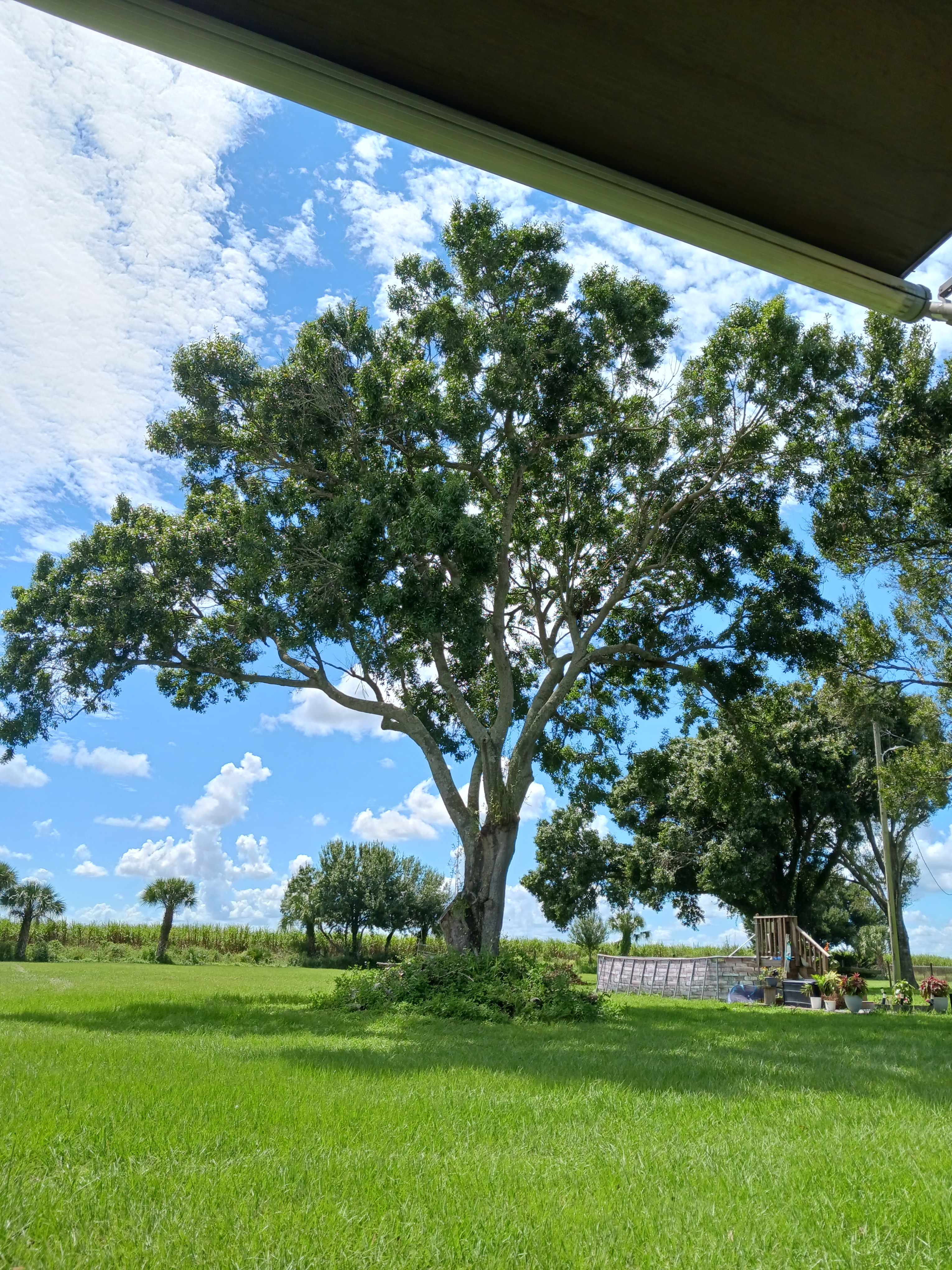 Melissa’s Peaceful Place