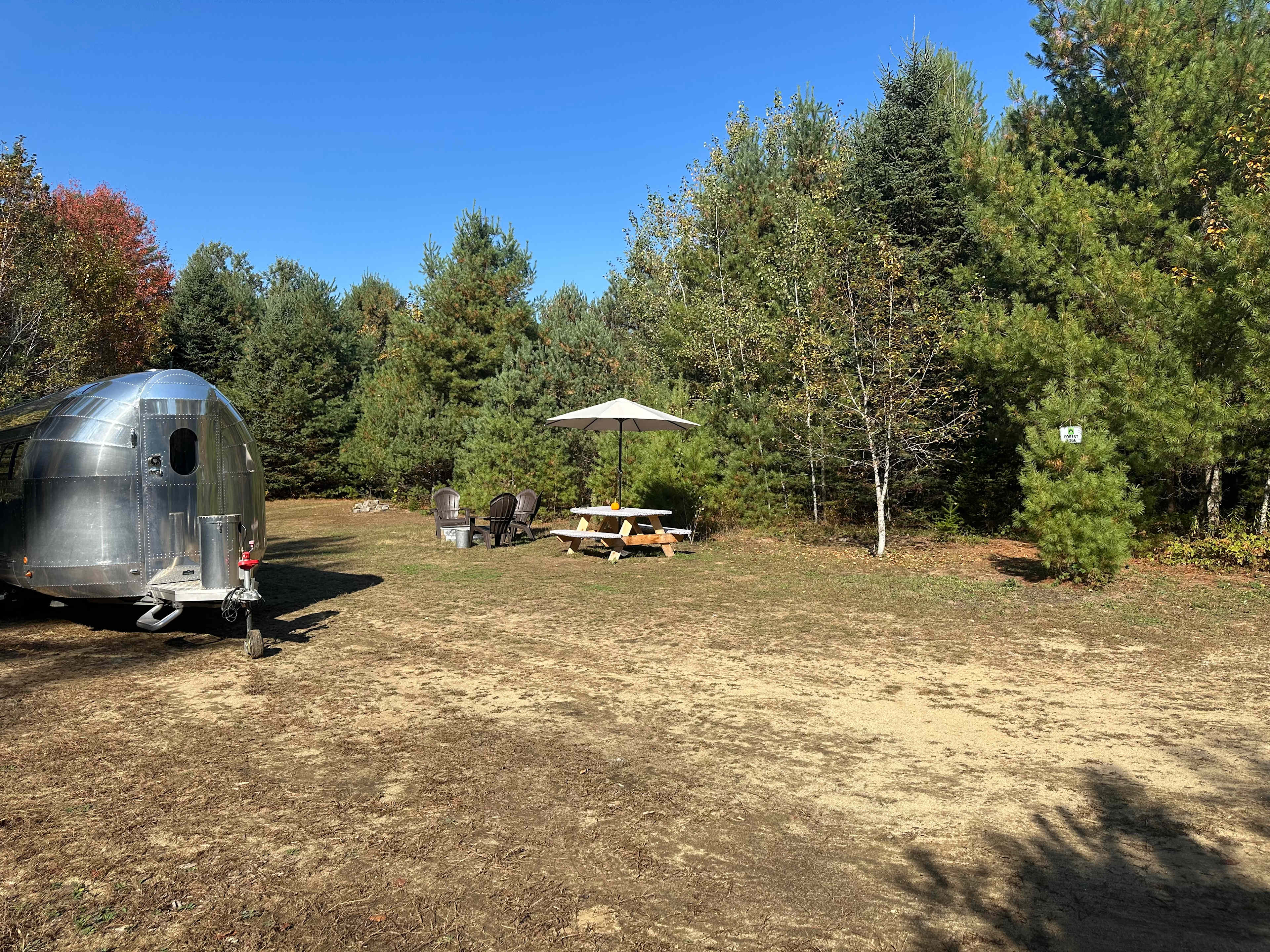 The small pine tree on the right had a sign for the site.  Between that tree and the picnic table was a path to the porta potties.