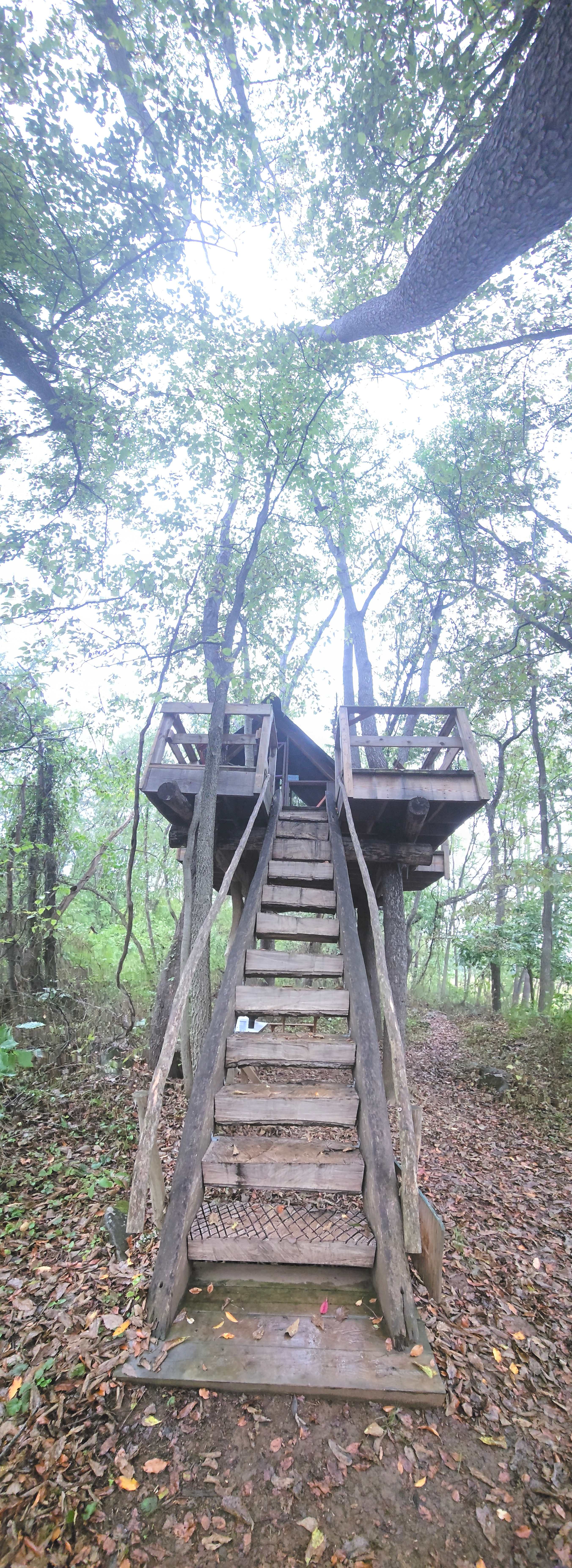 Sacred Roots Herbal Sanctuary