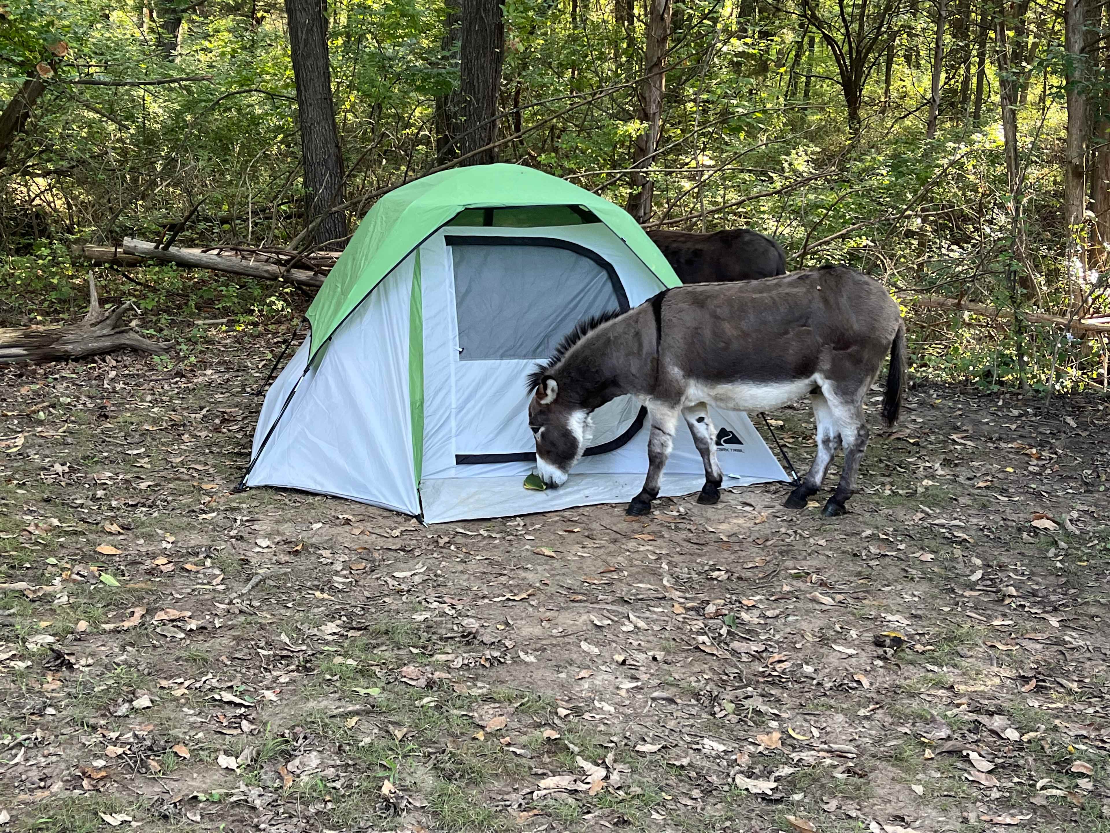 Milo Farm Sacred Land