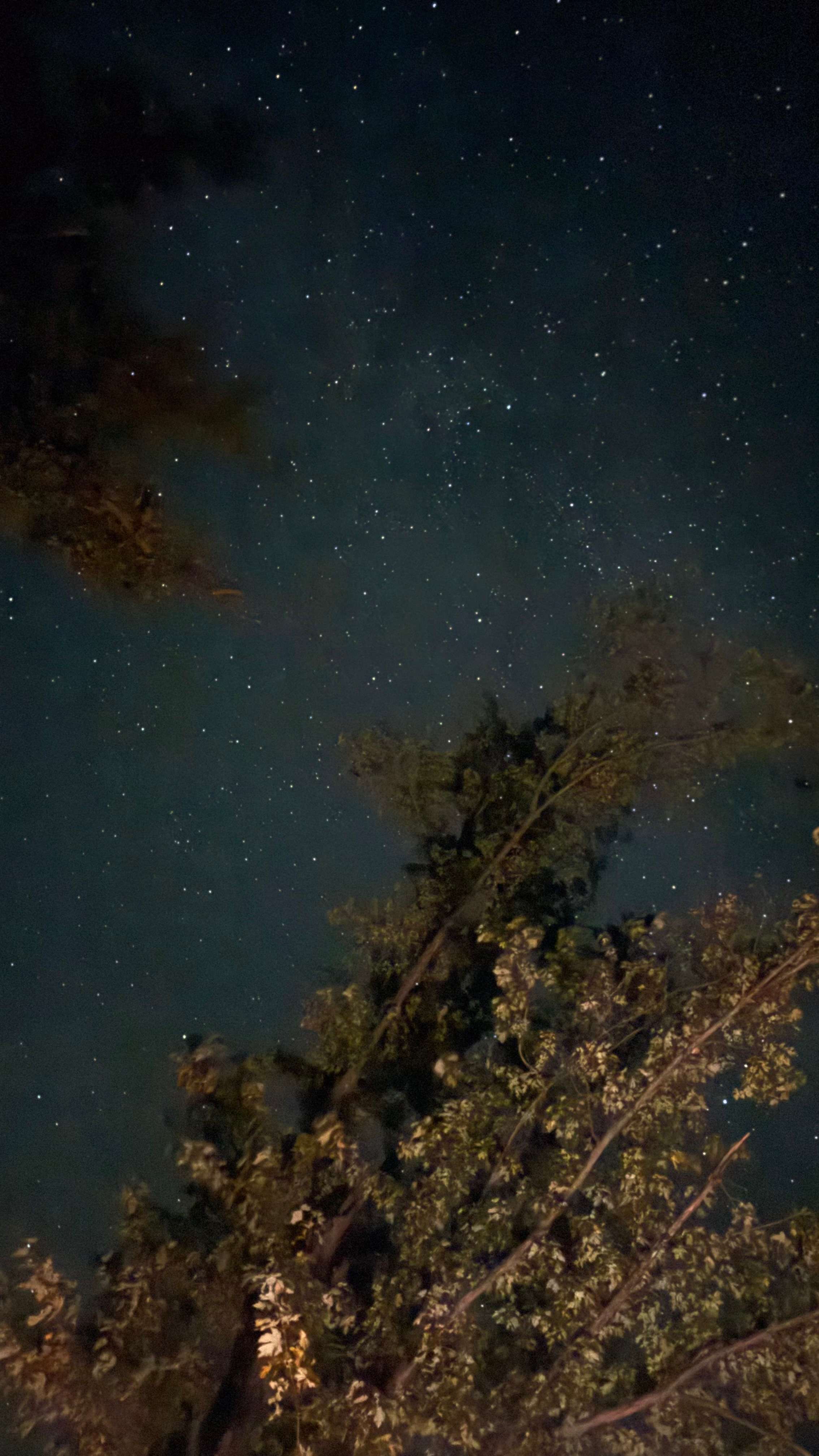 Vintage Spring Lake Campground