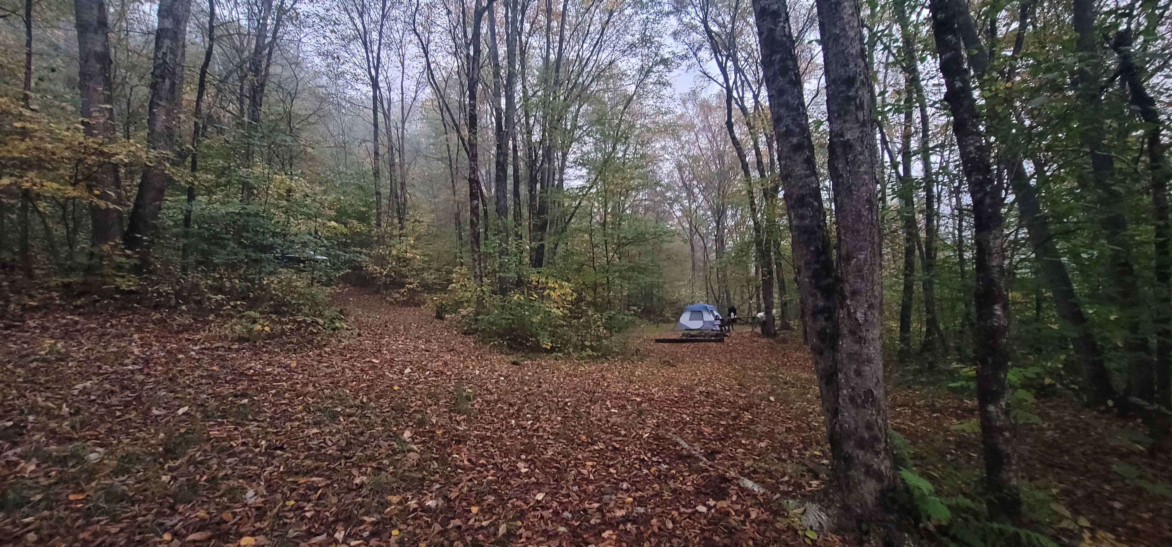 Austin Dam Memorial Park