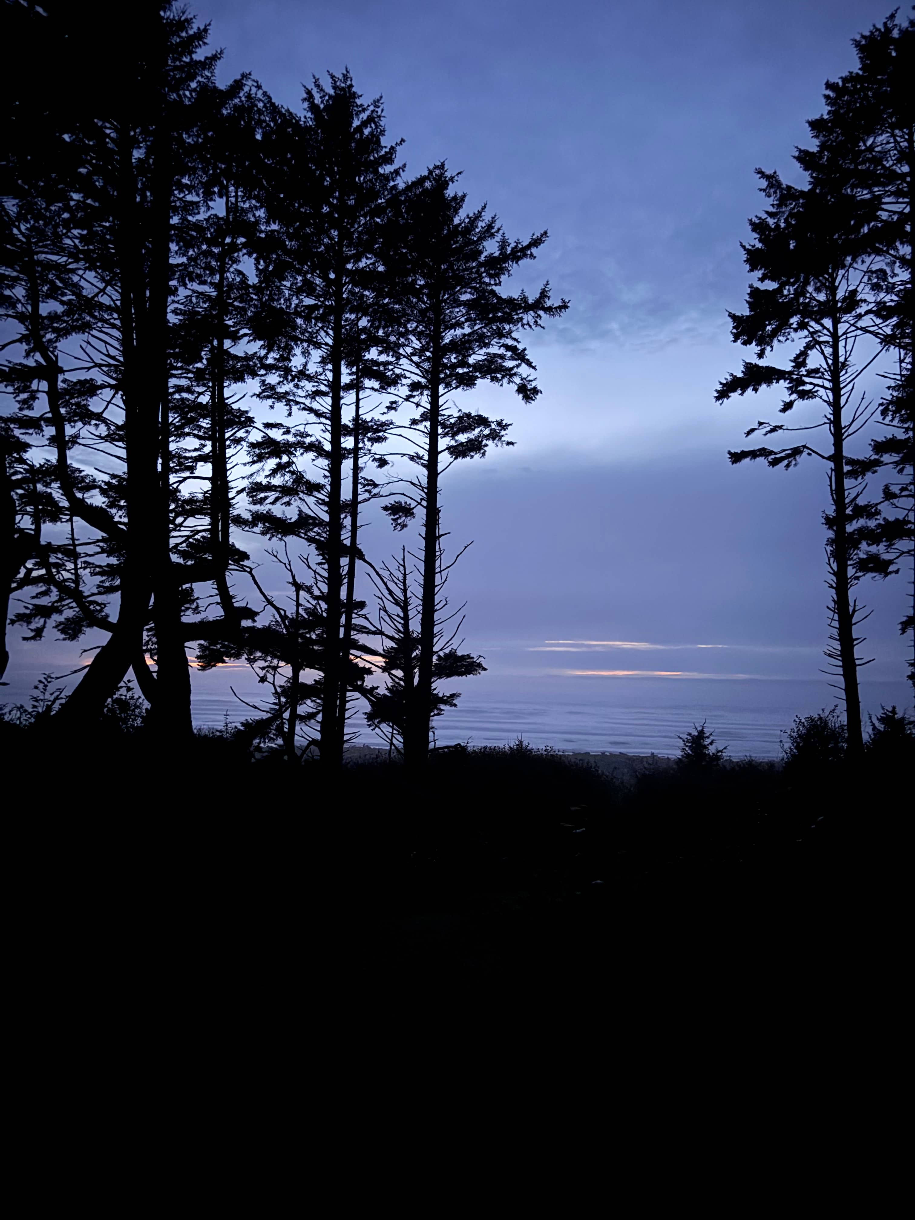 Wild WA Coast Lookout ($75 - $125)