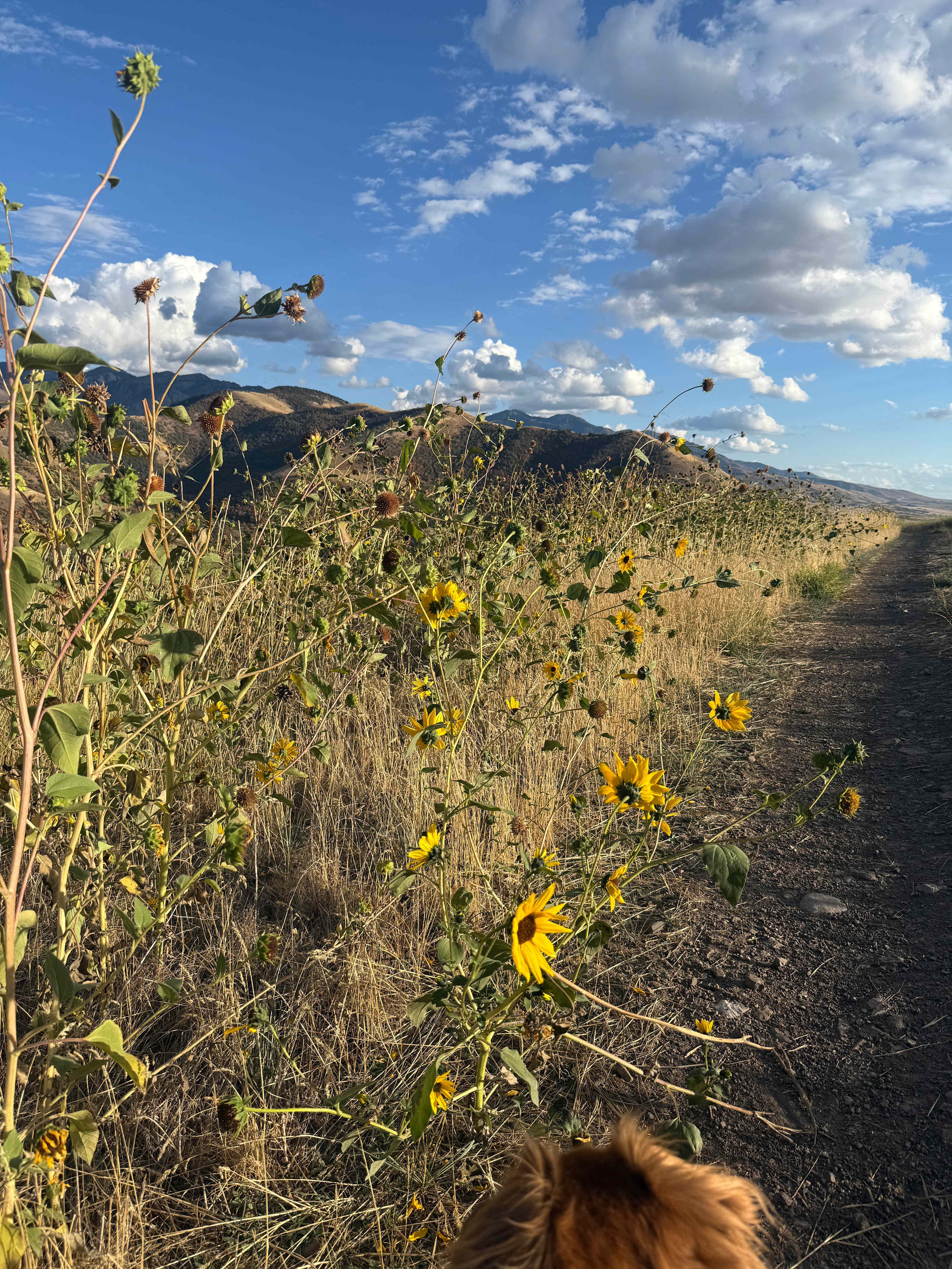 Mountain Top Getaways
