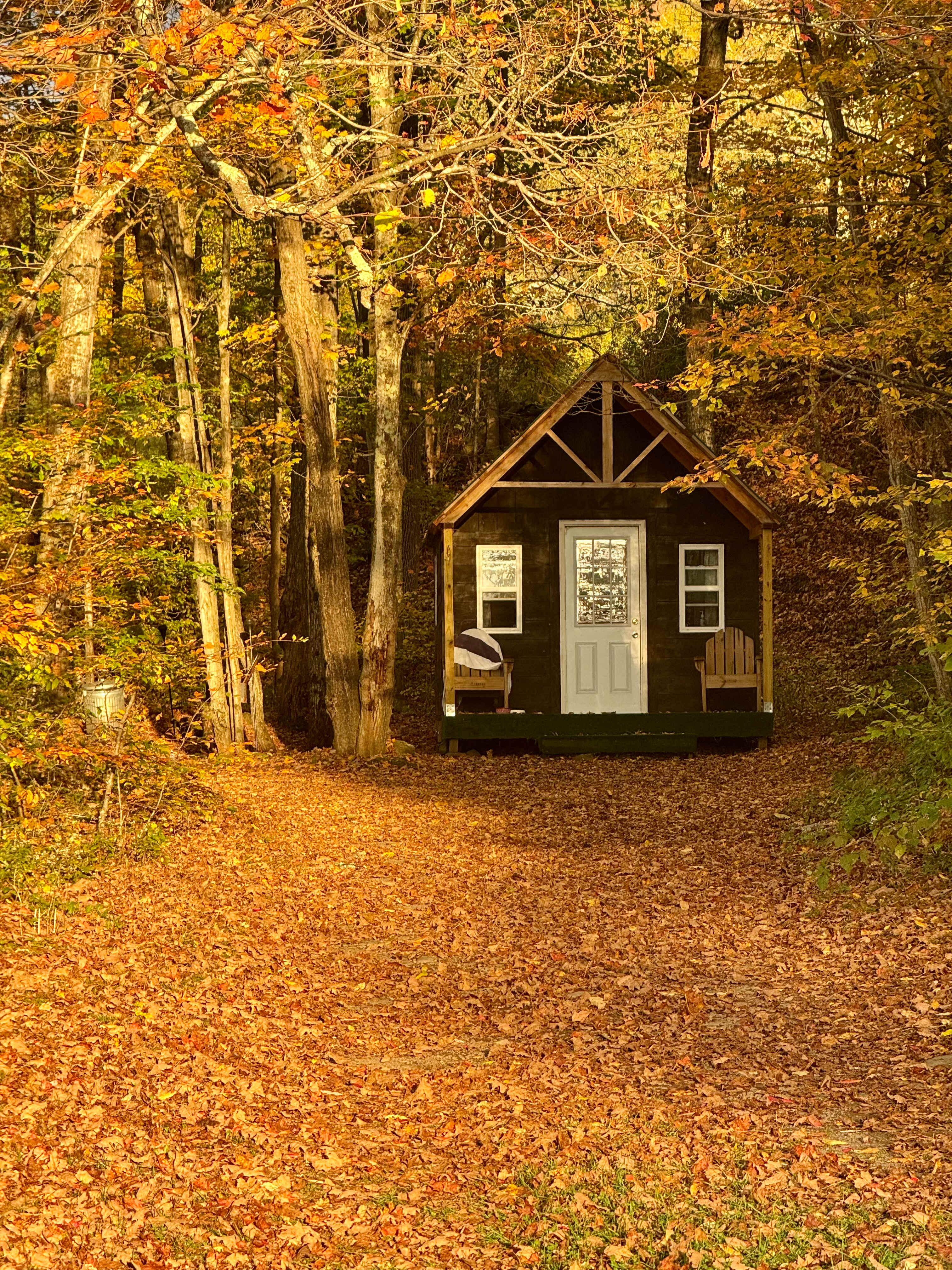 Bearkill Brook Campsite