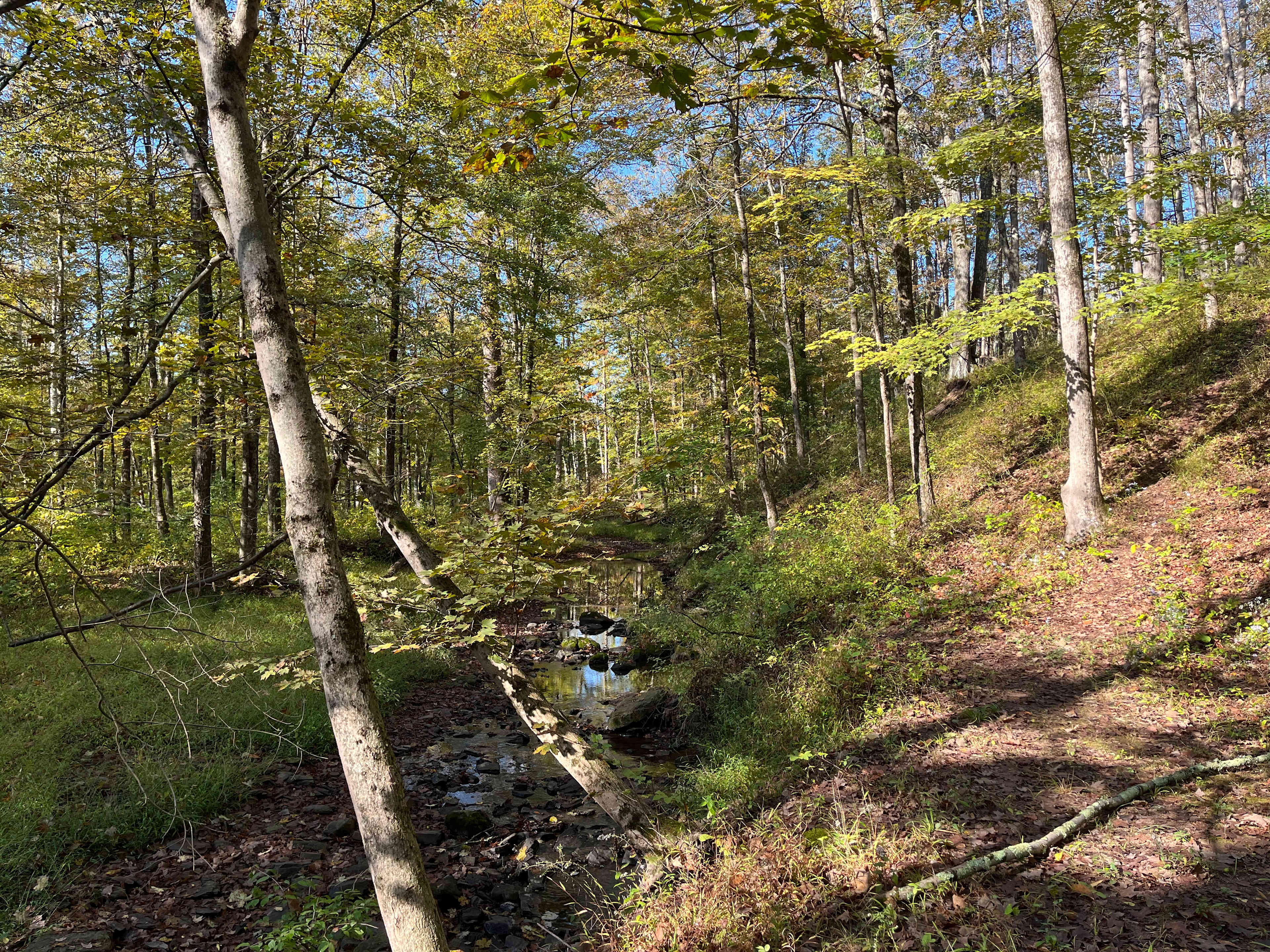 Grampy's Red Rock Rabbit Ranch