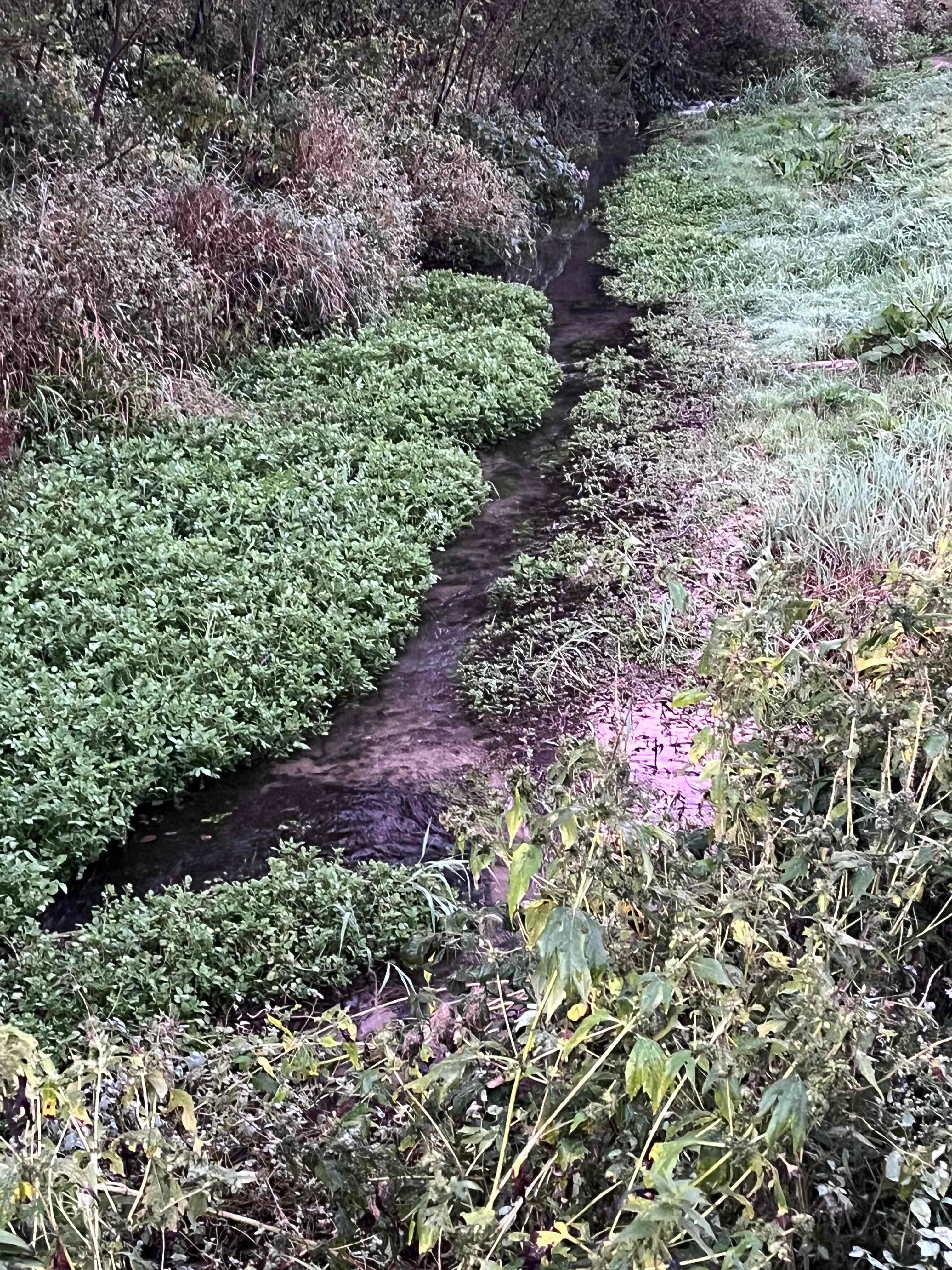 Ranch Retreat Camping