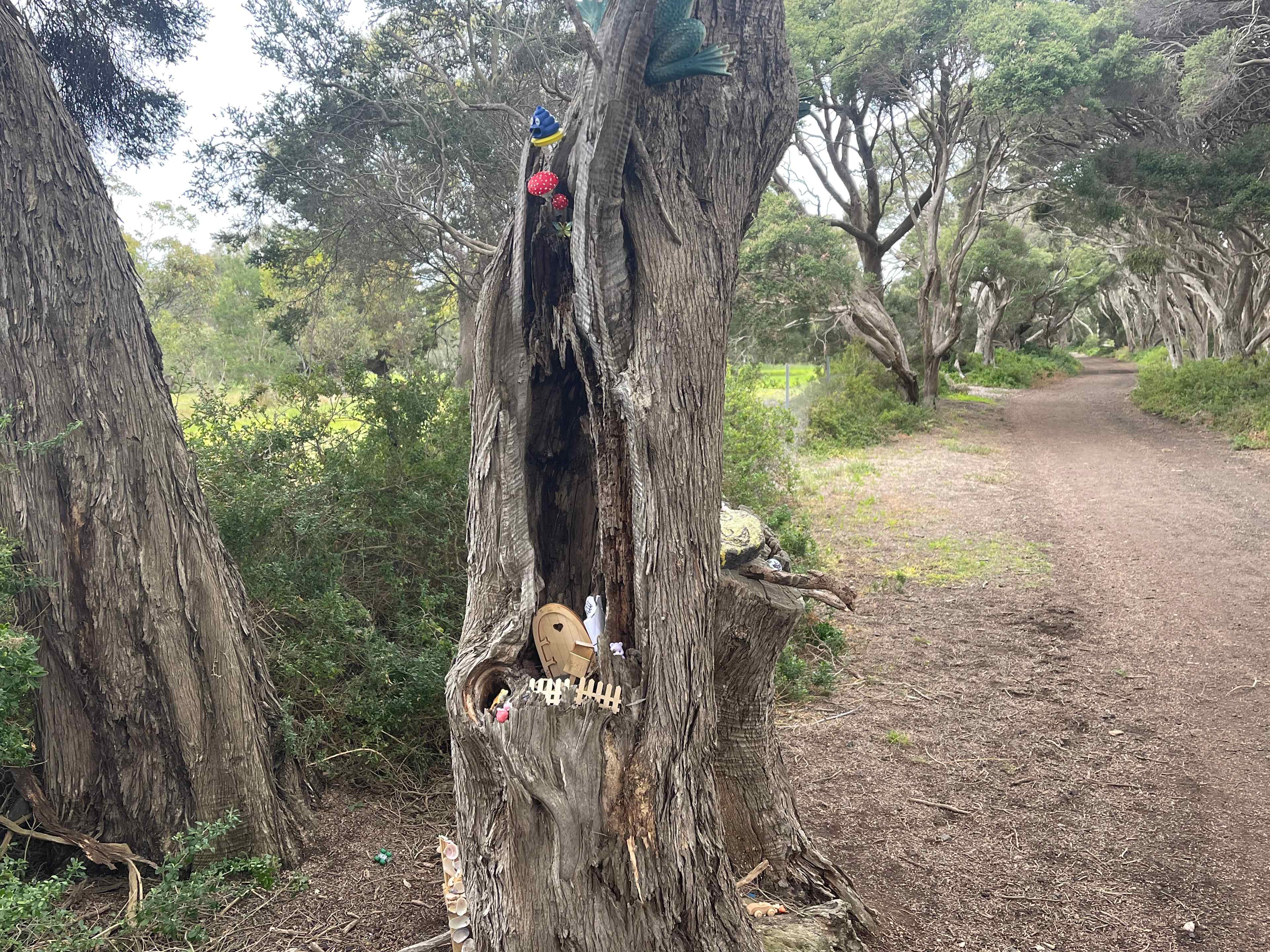 Shacks at Kardella Park