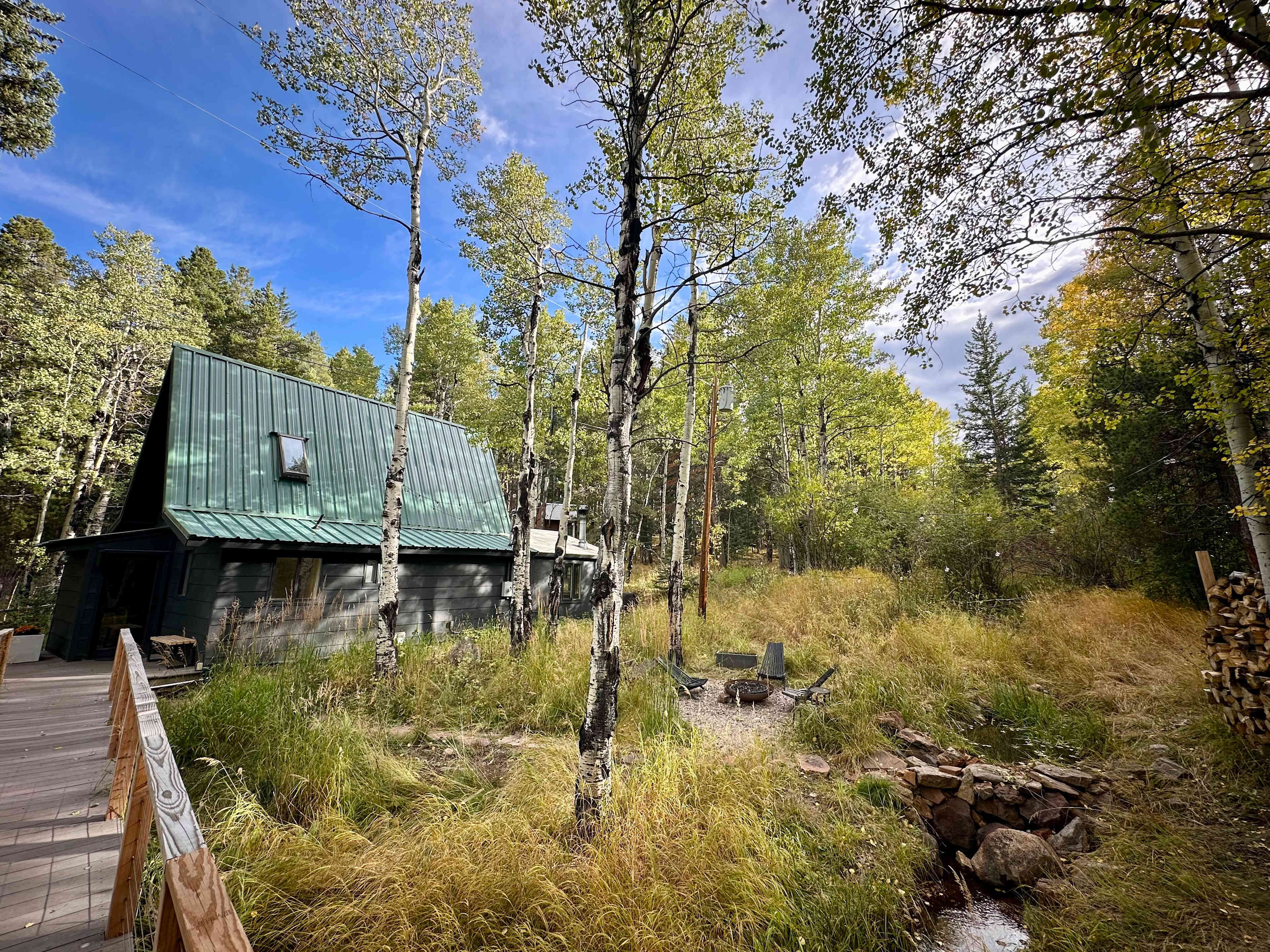 Aspen Forest in Evergreen Colorado