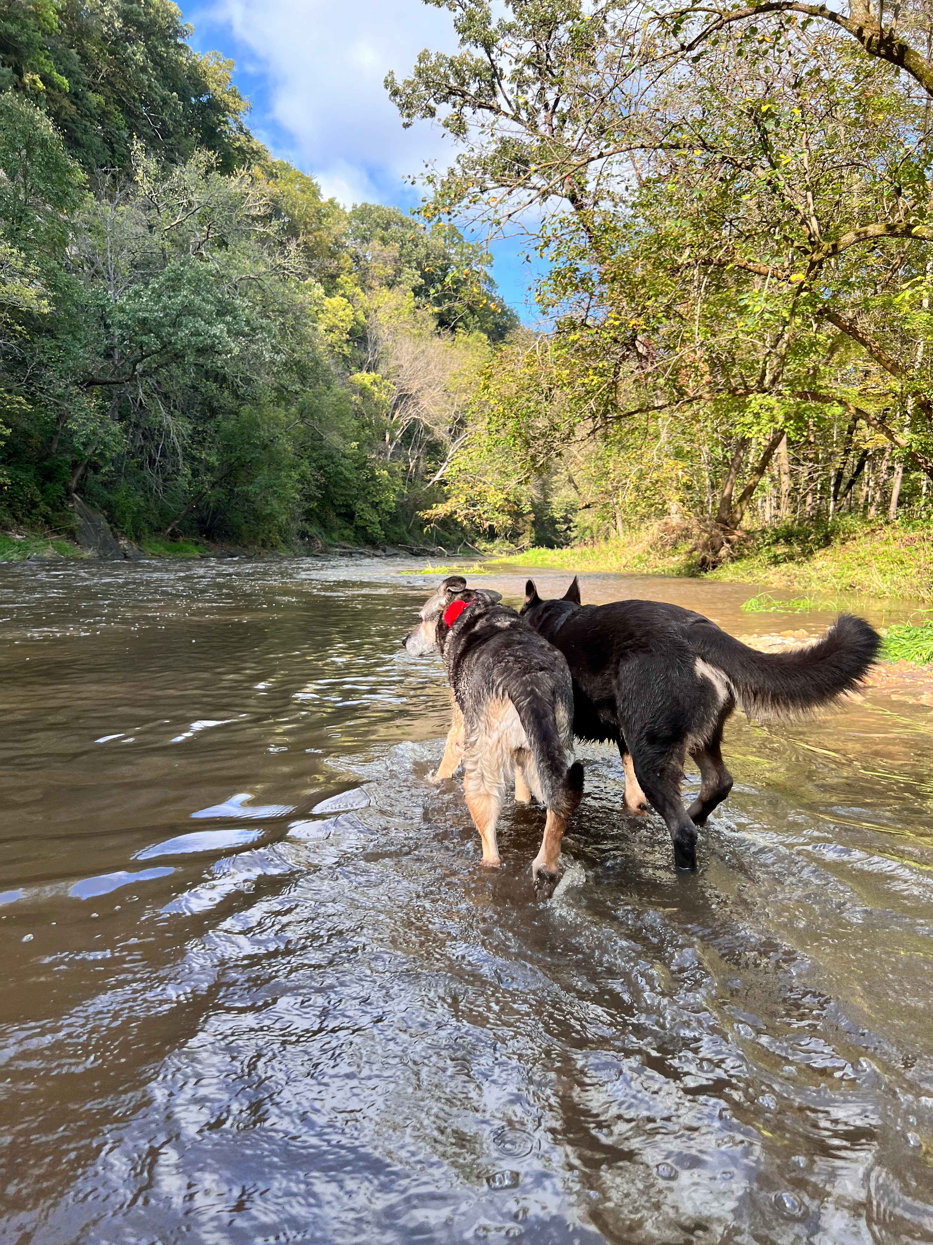 Bluff Hollow Camp on the Root River