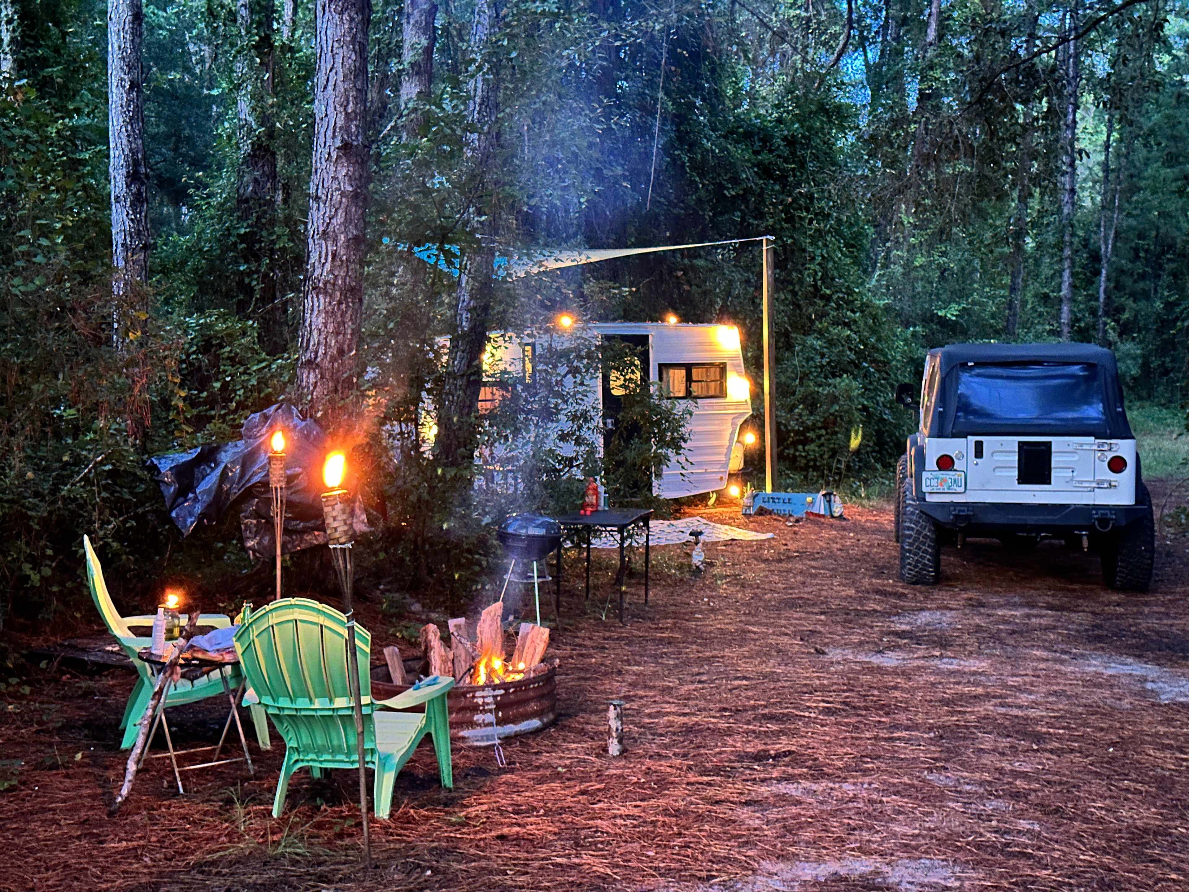 Serene Forested Blueberry Farm