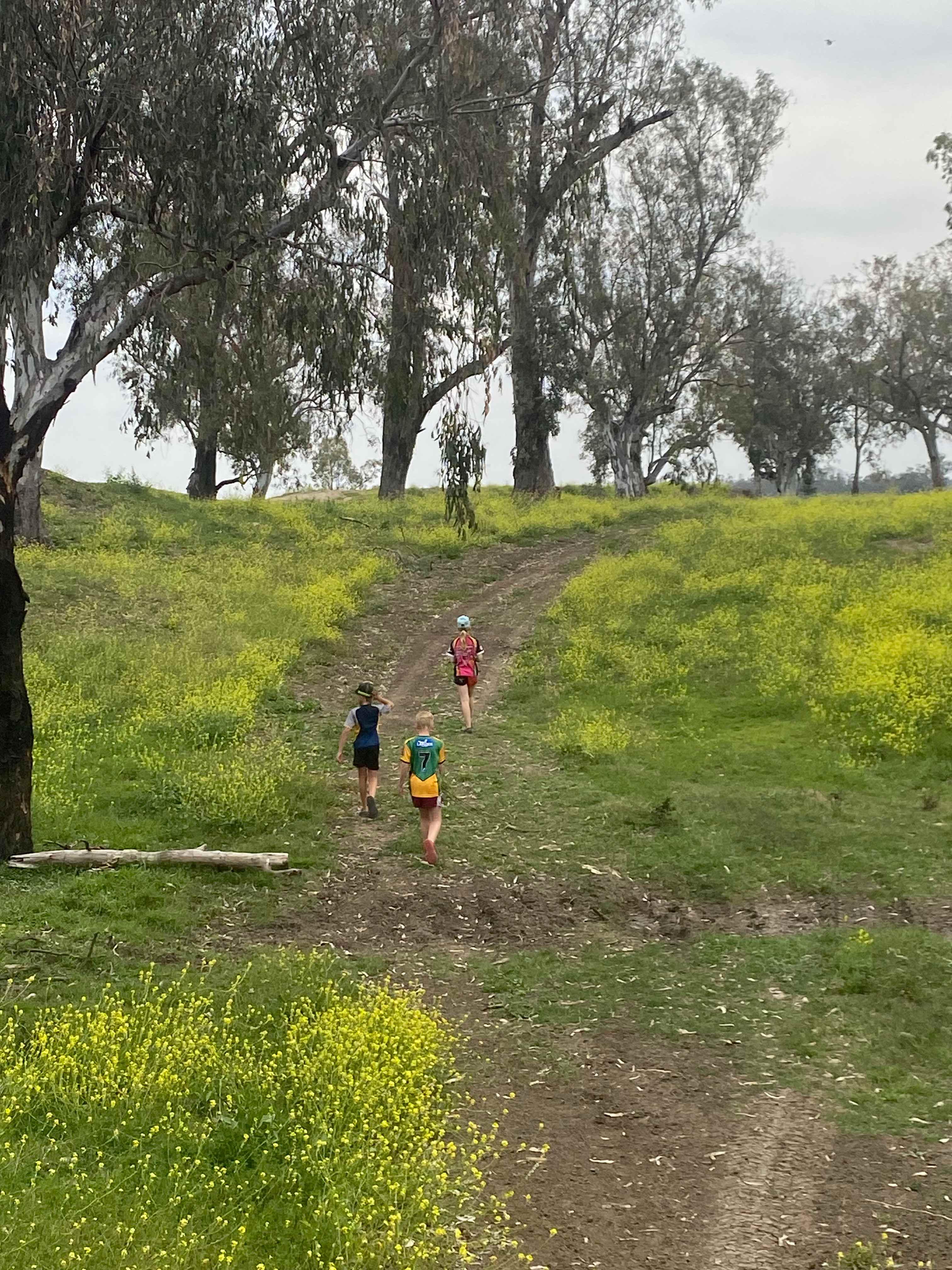 Pringy's Farm Balnagask