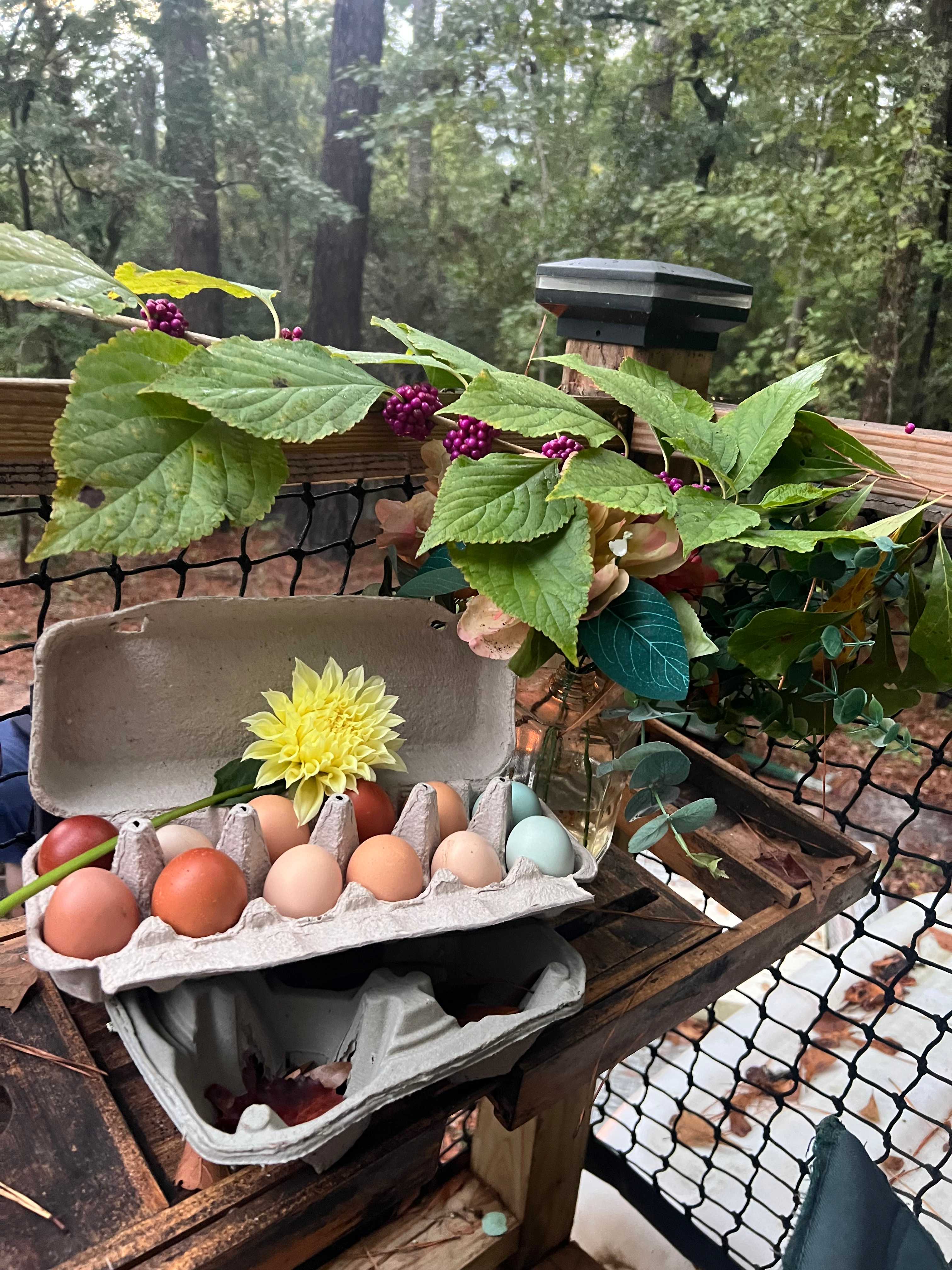 The Secret Sanctuary Farm