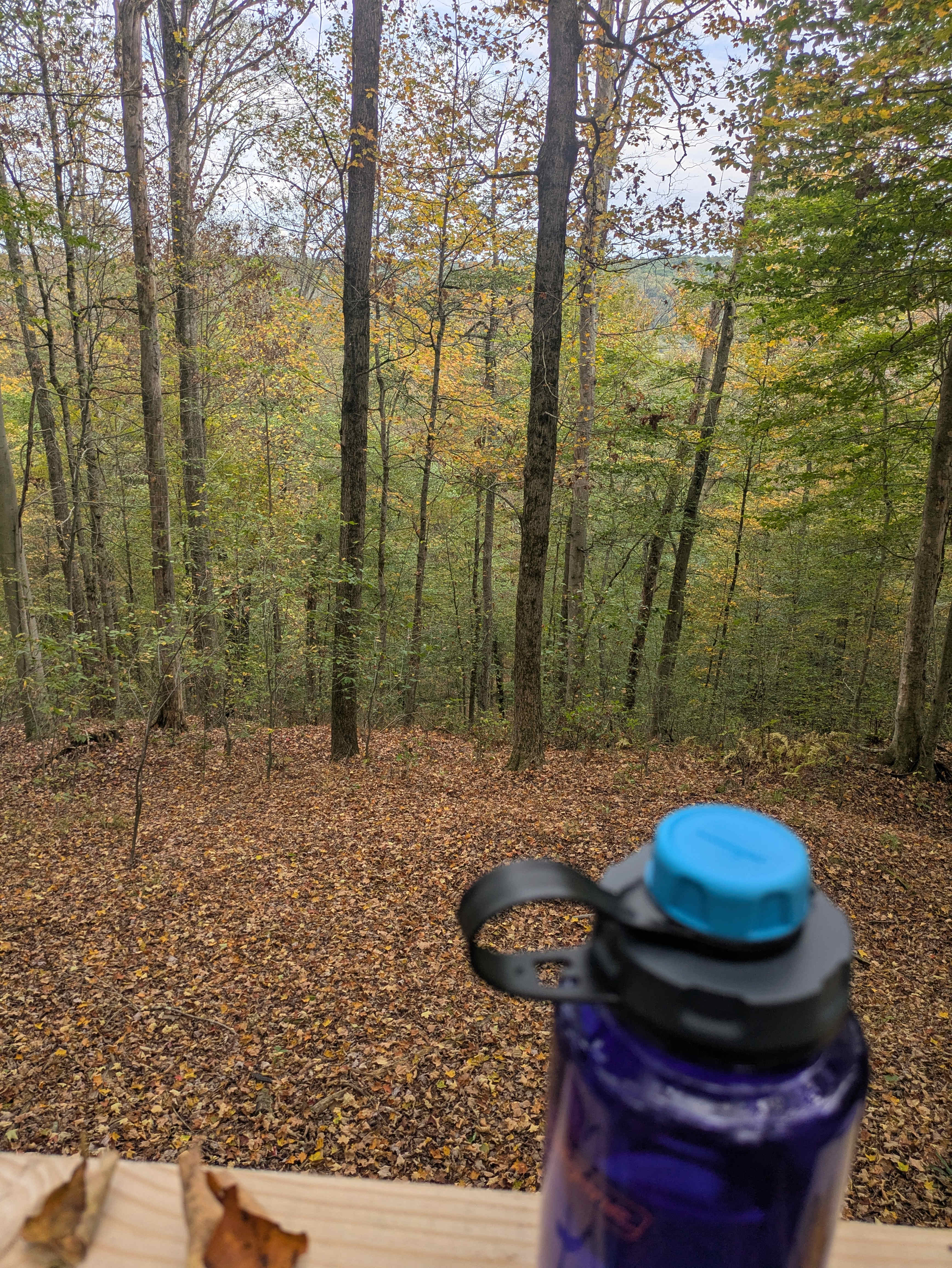The overlook on the trail!