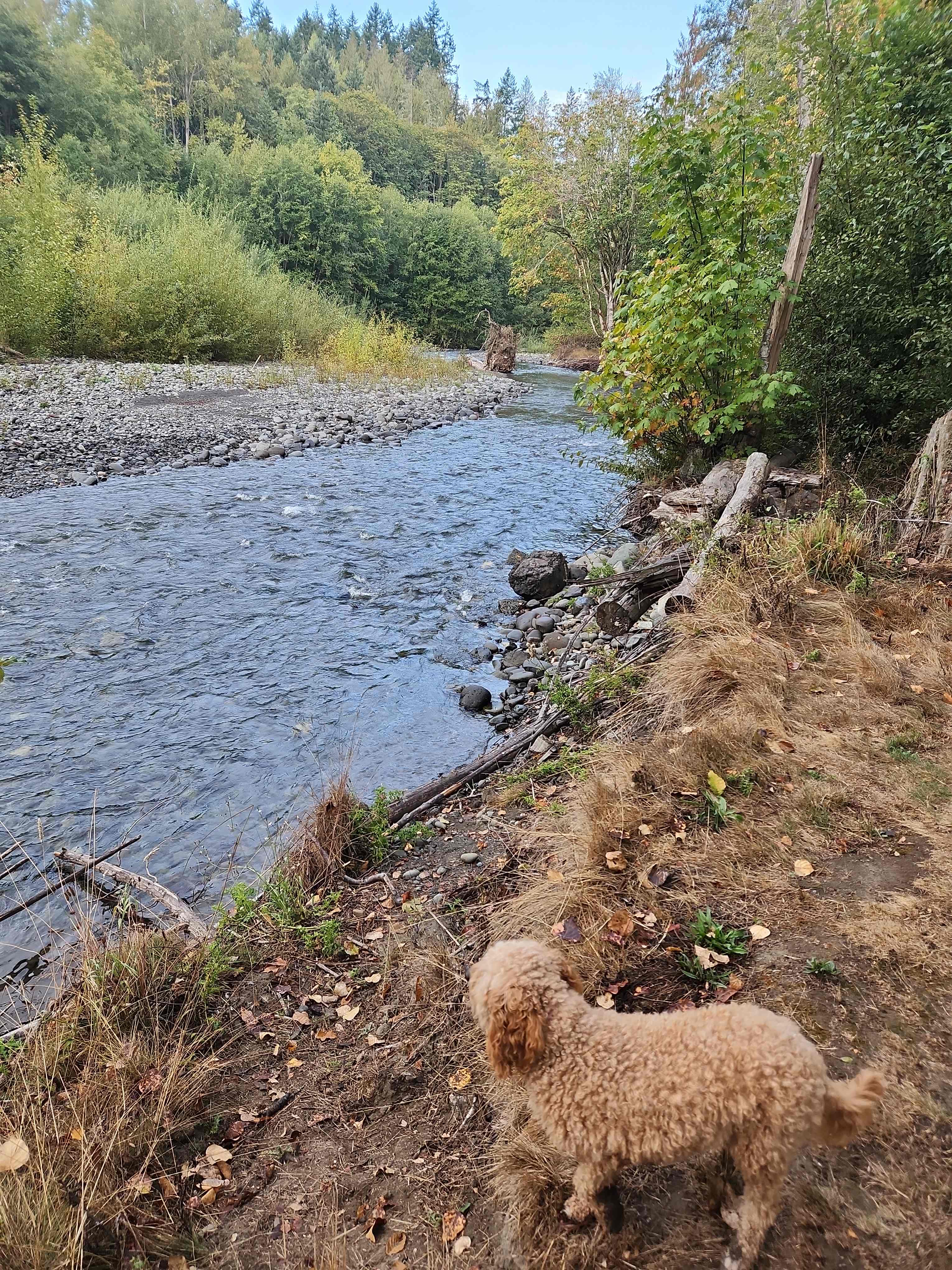 Dick's Last Resort on the River