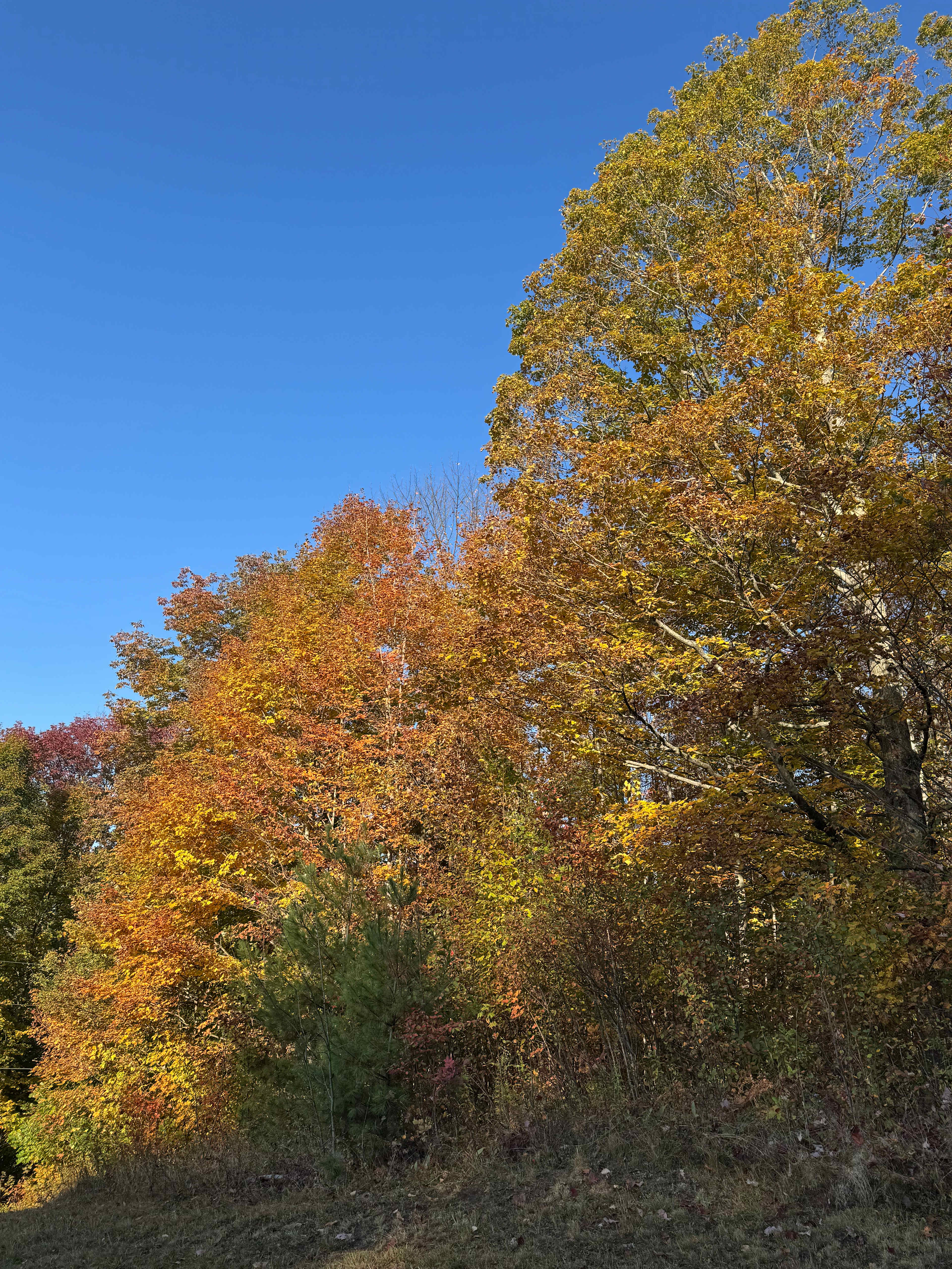 Arbuckle Acres Family Farm