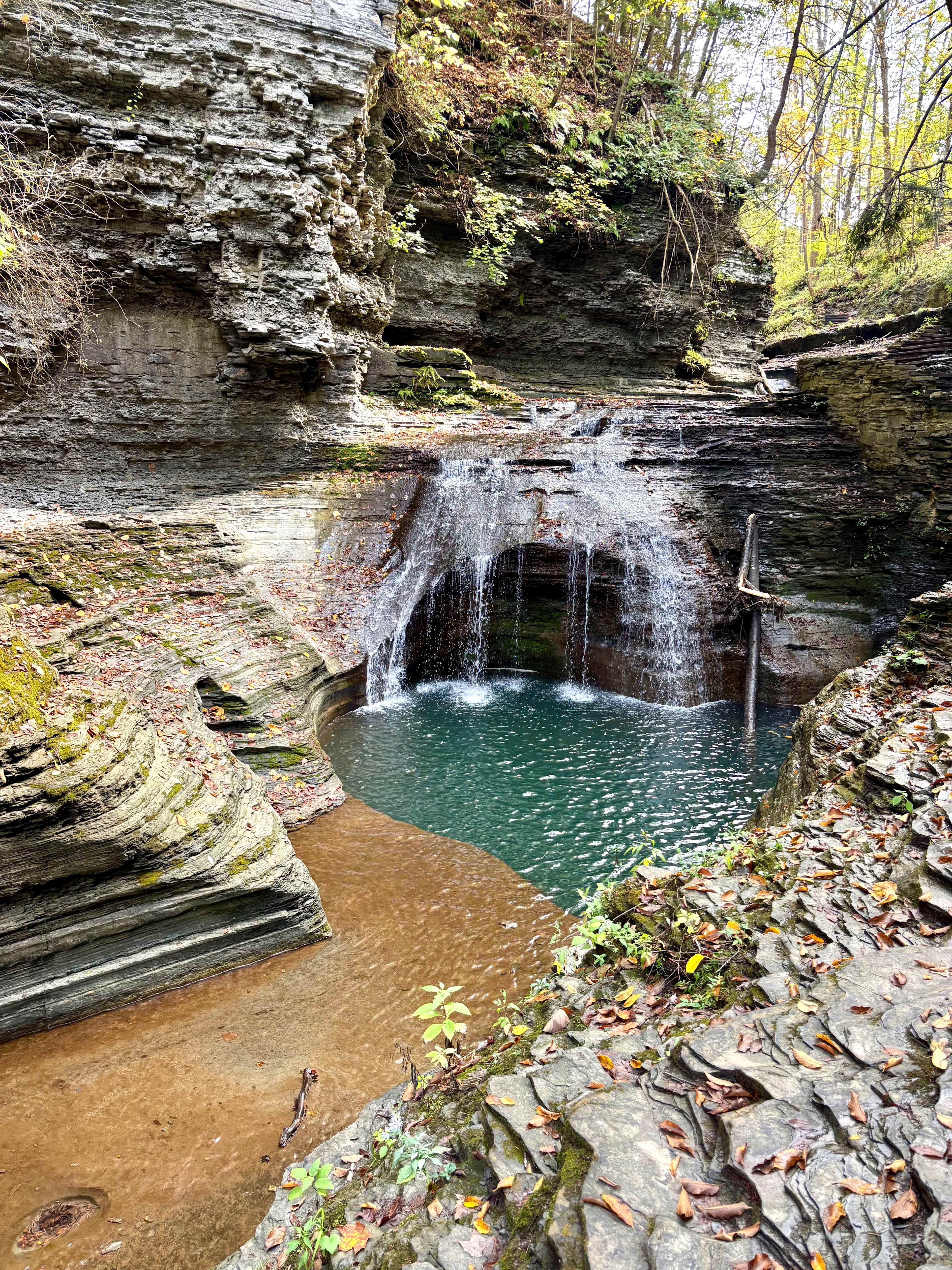 Orchard and Gorge At South Hill