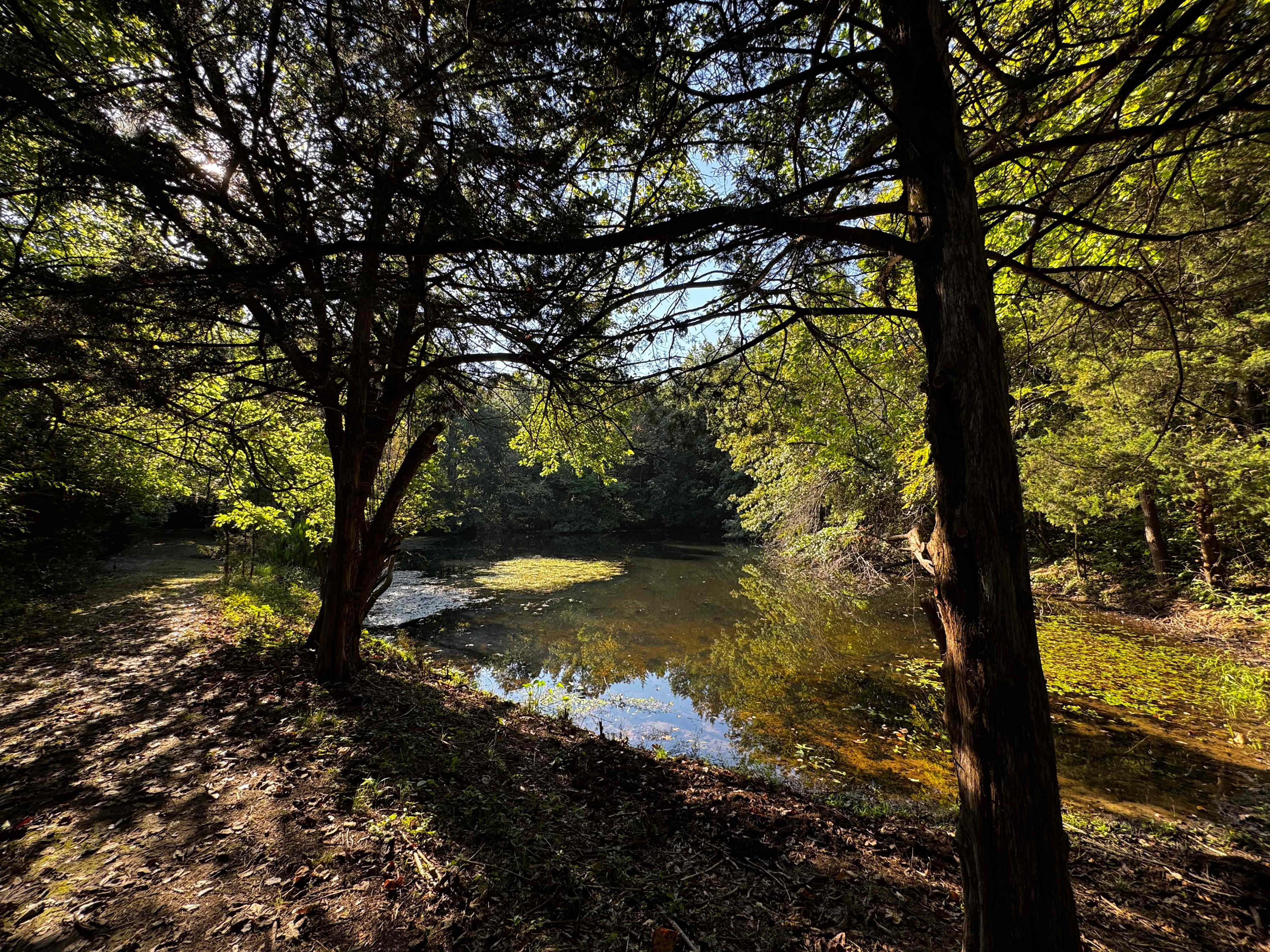Milo Farm Sacred Land