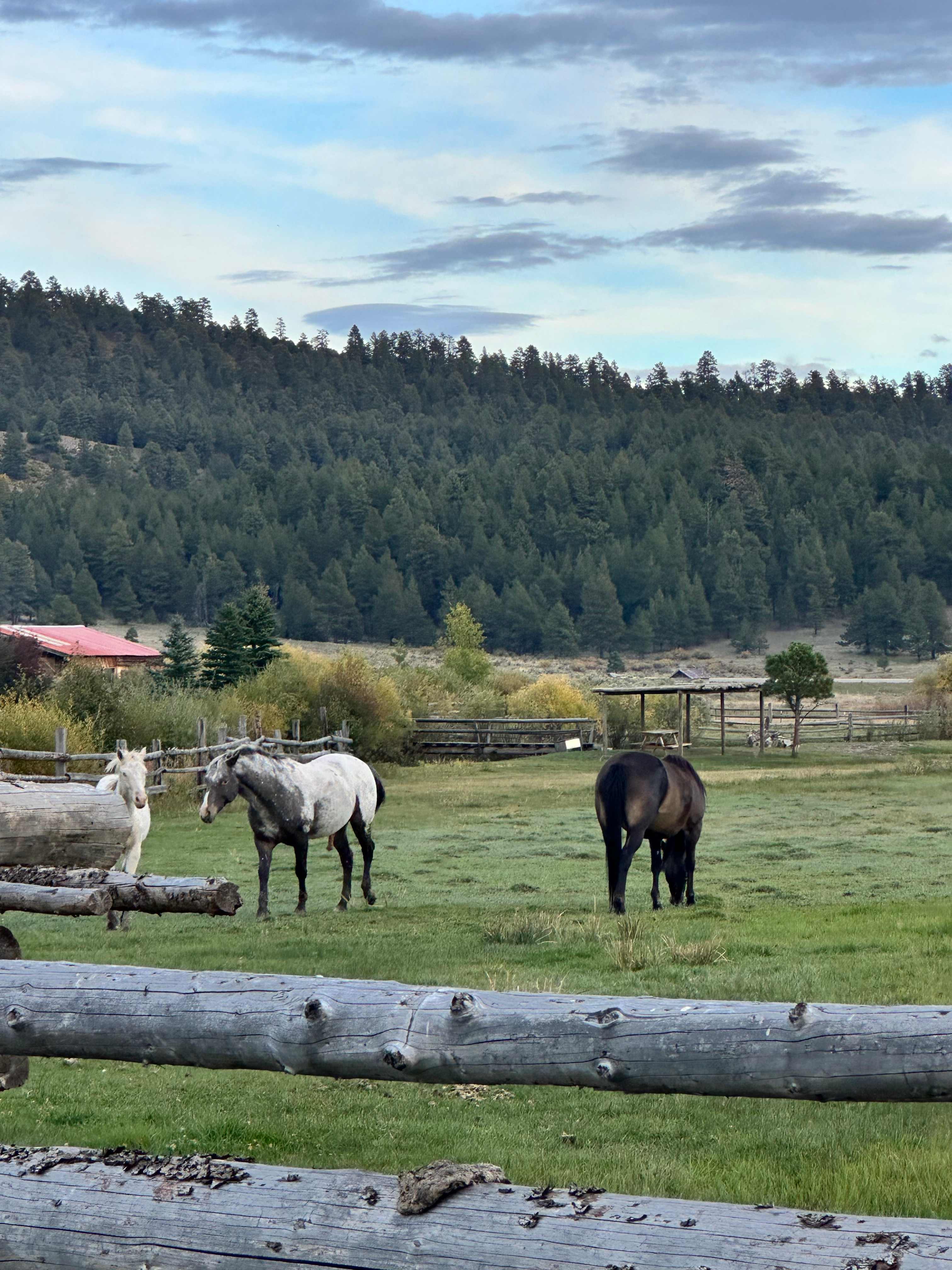 Creekside Glamping Tipis on Off-Grid, 70 Acre Working Ranch