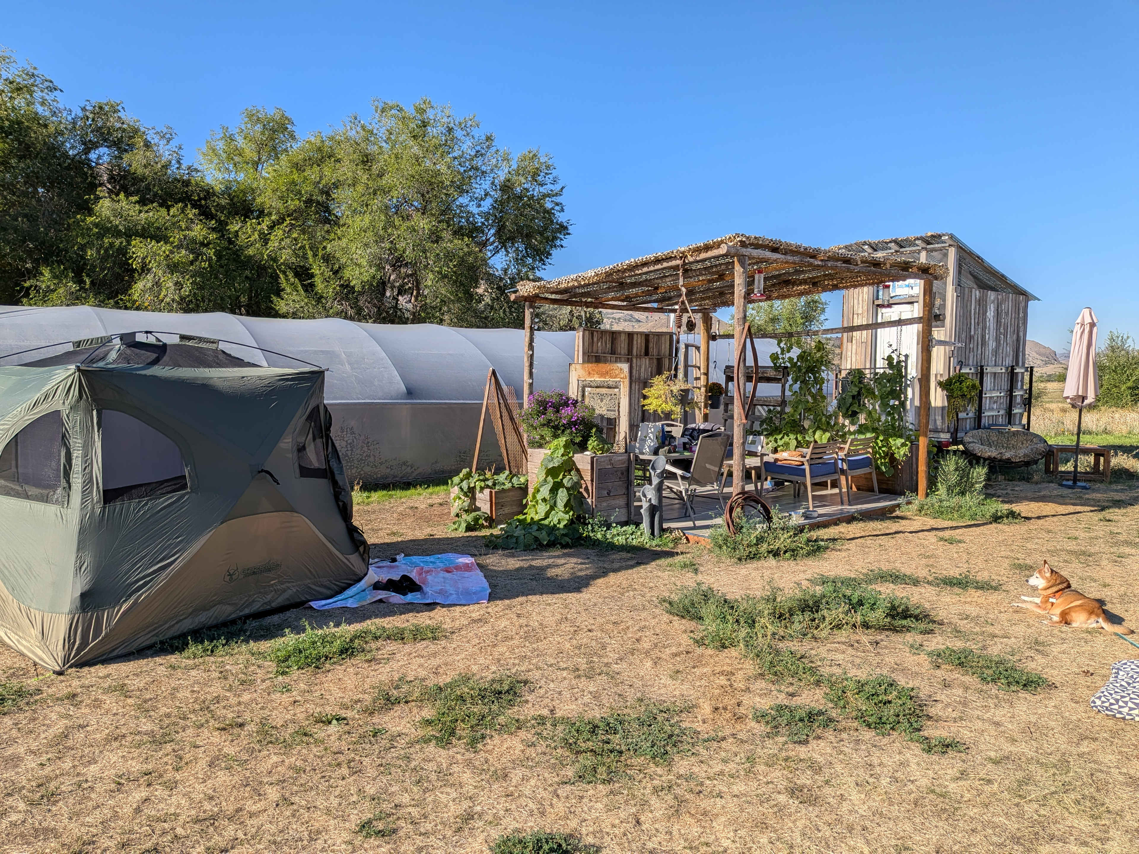 Plenty of space to accommodate multiple cars, tents, RVs. We had a 25' extension cable which kept us close to the pergola