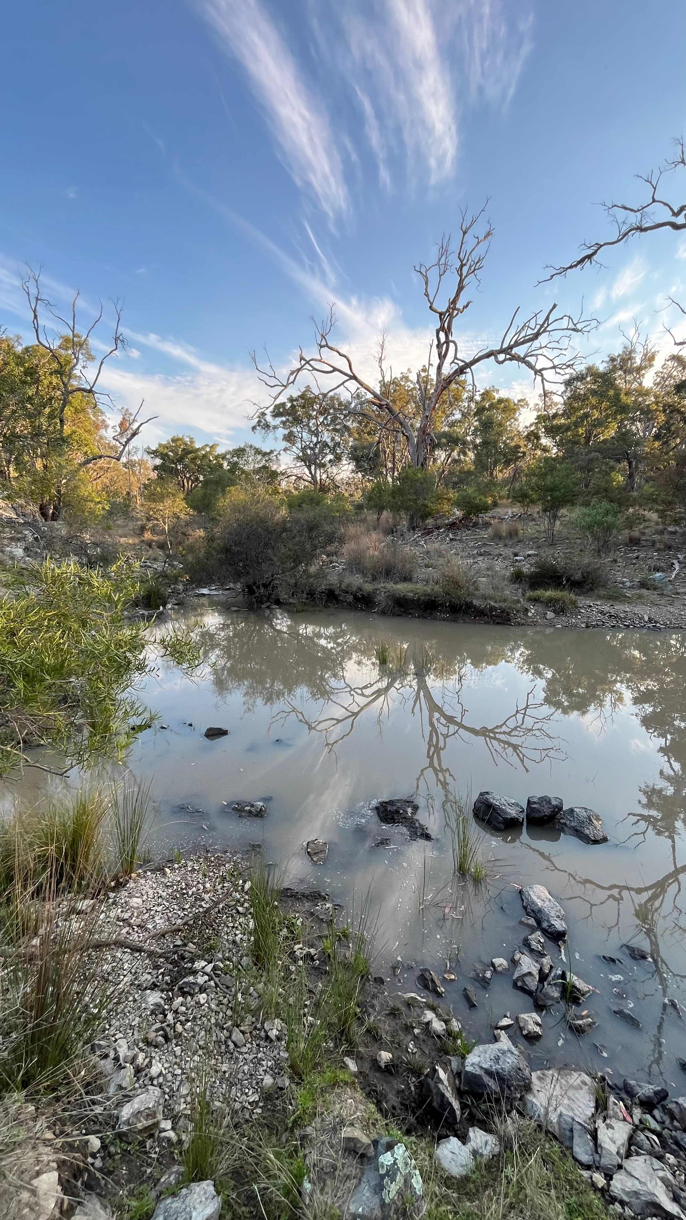 Carbean Camping & Farmstay