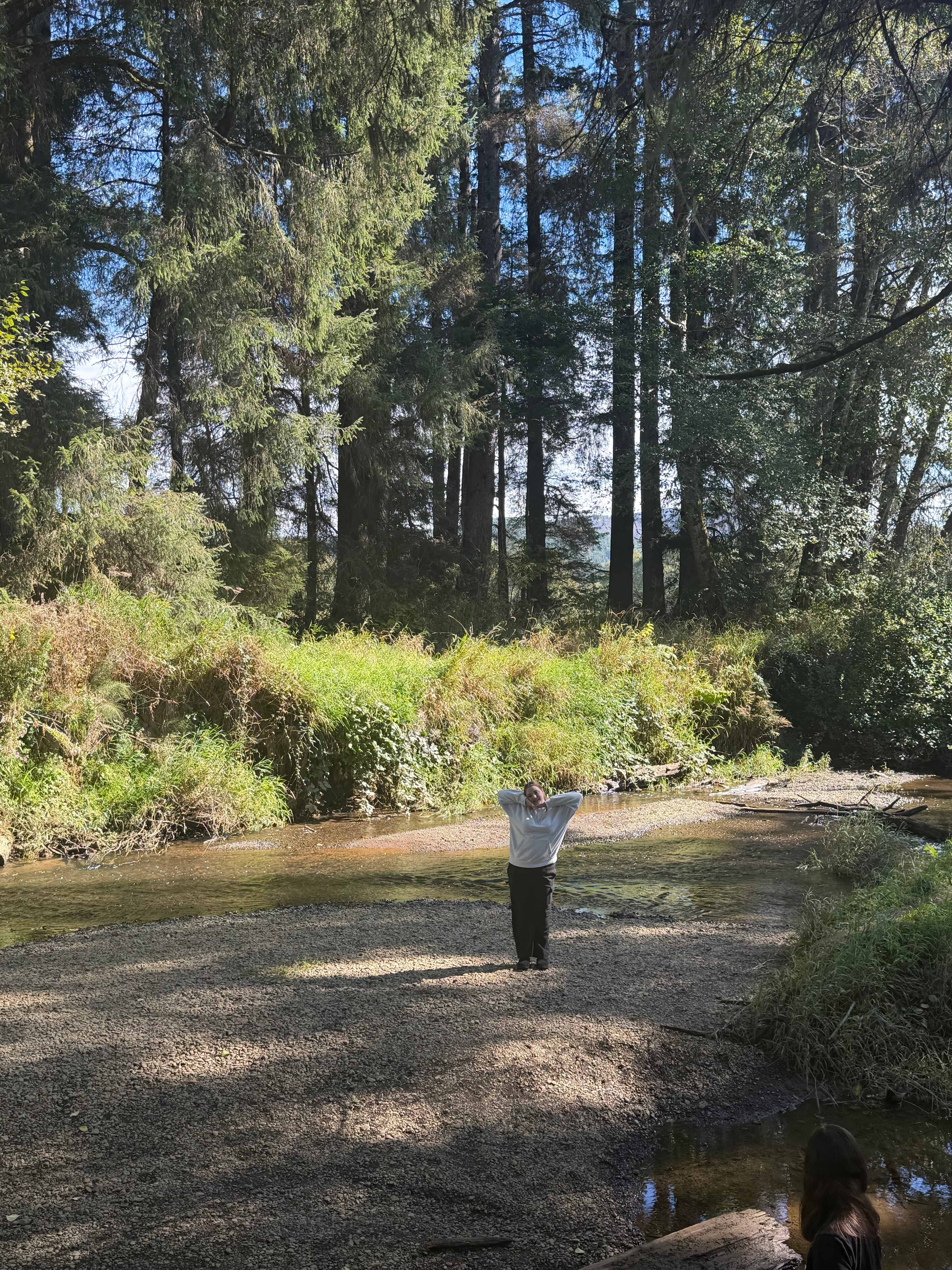 Williams Park campground