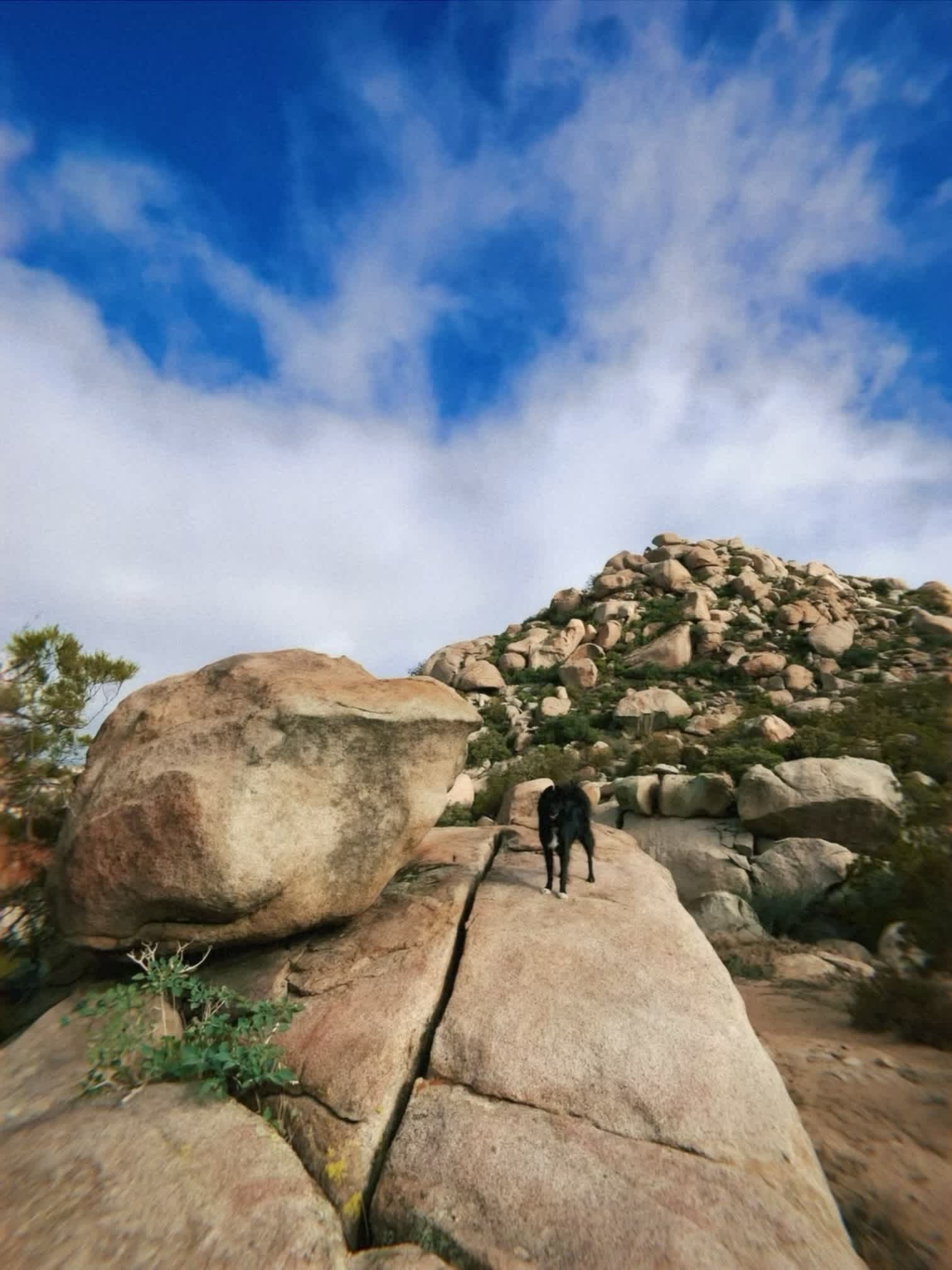 Sagewinds Farm High Desert camp
