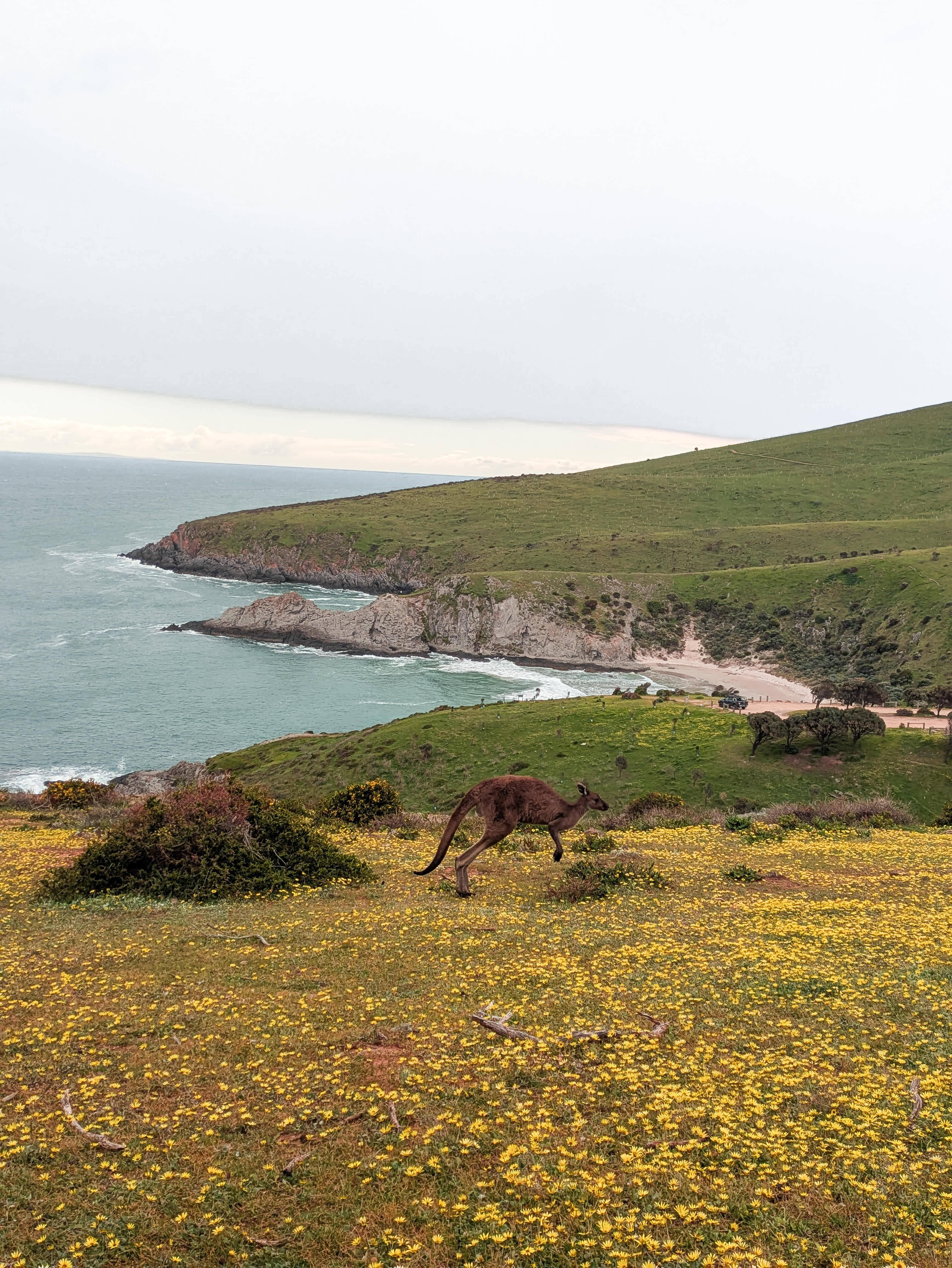 30 minutes from Deep Creek National Park Blowhole Beach